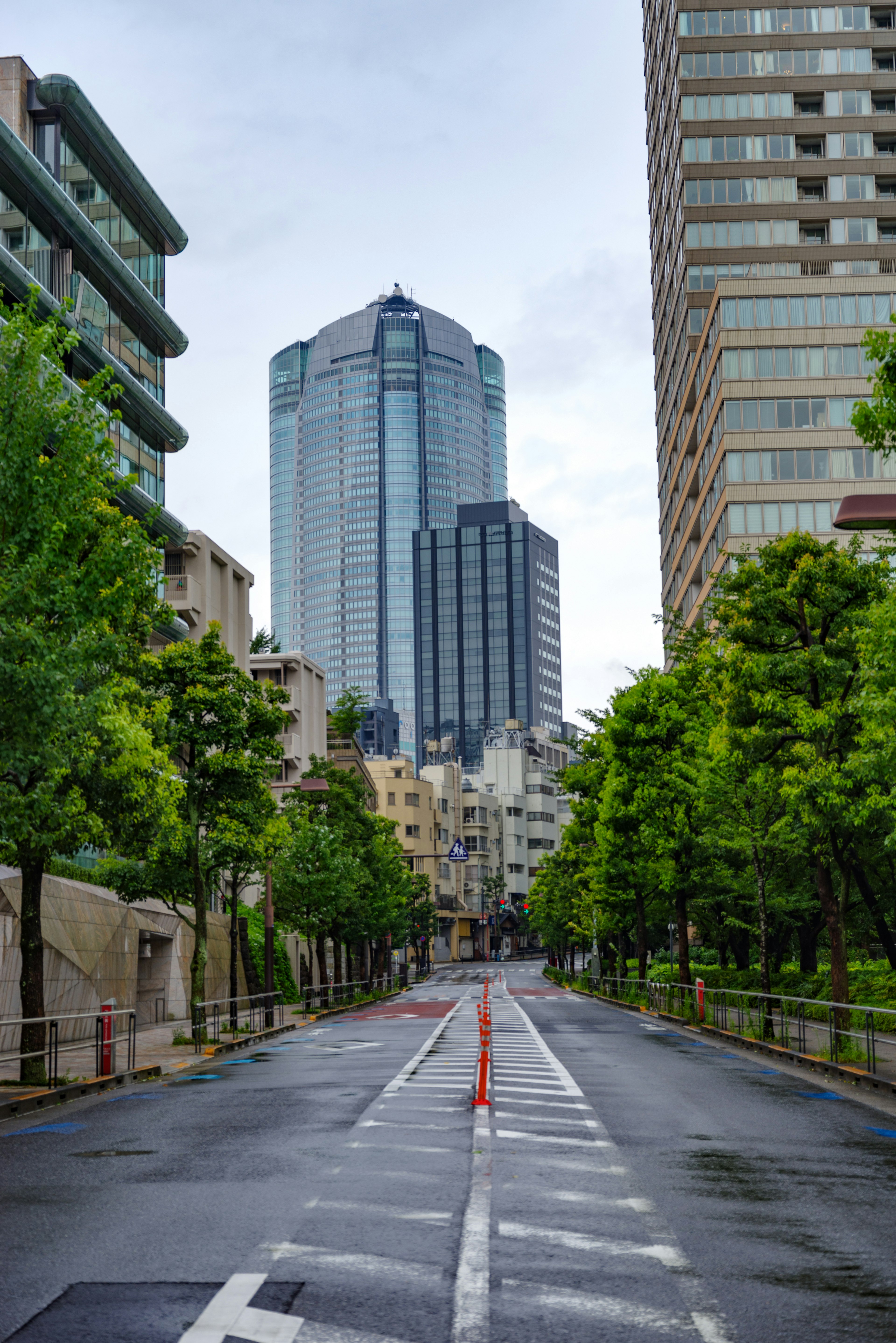 A city street lined with trees featuring tall buildings in the background