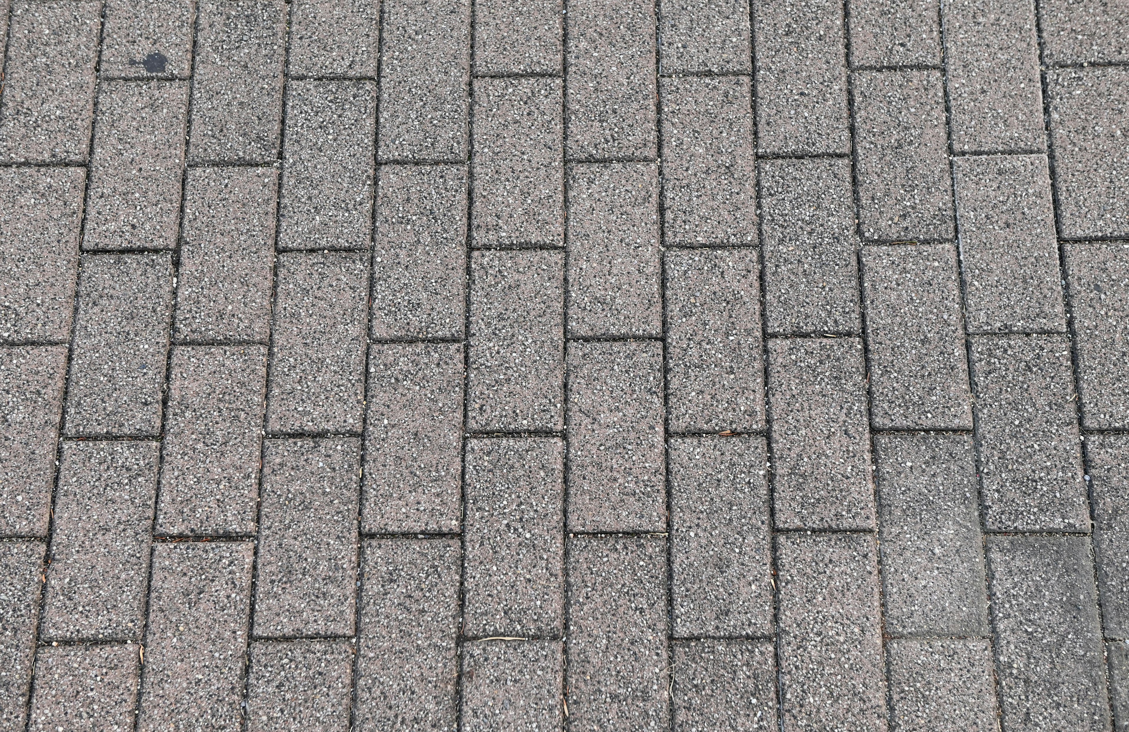 Close-up dari paving batu