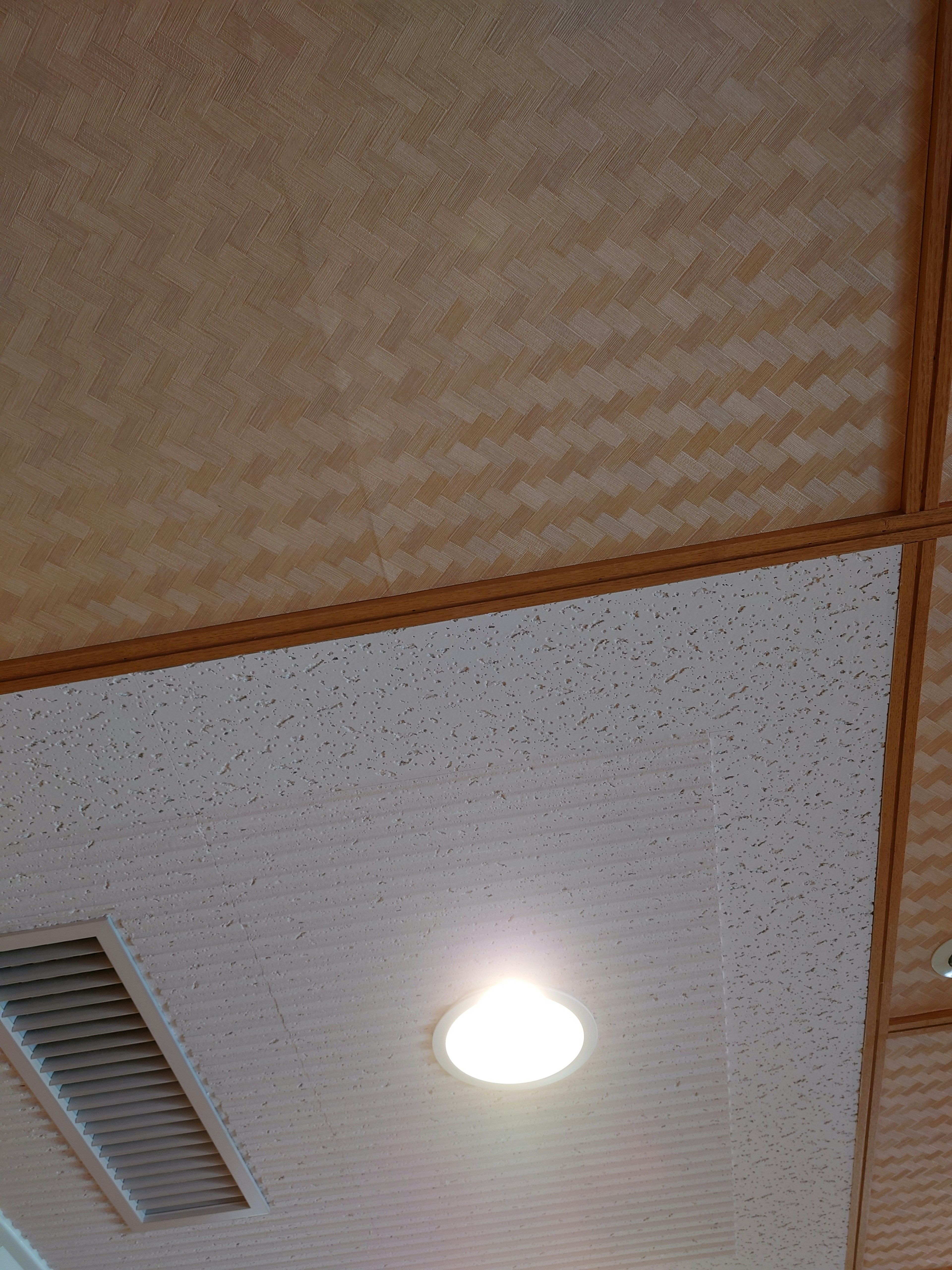 Image montrant le design du plafond avec un luminaire et une ventilation