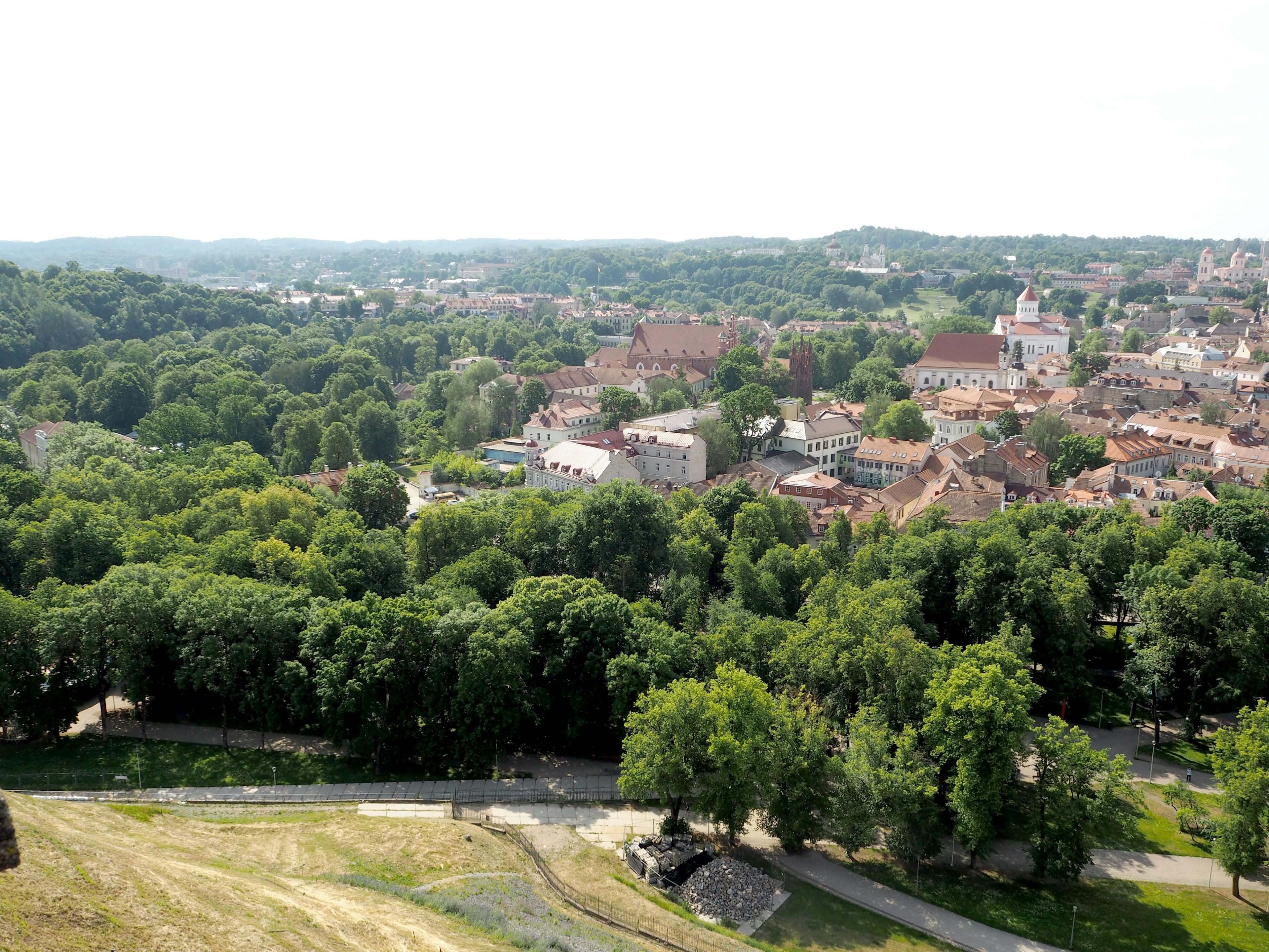 Panoramablick auf eine Stadt mit üppigem Grün und historischen Gebäuden