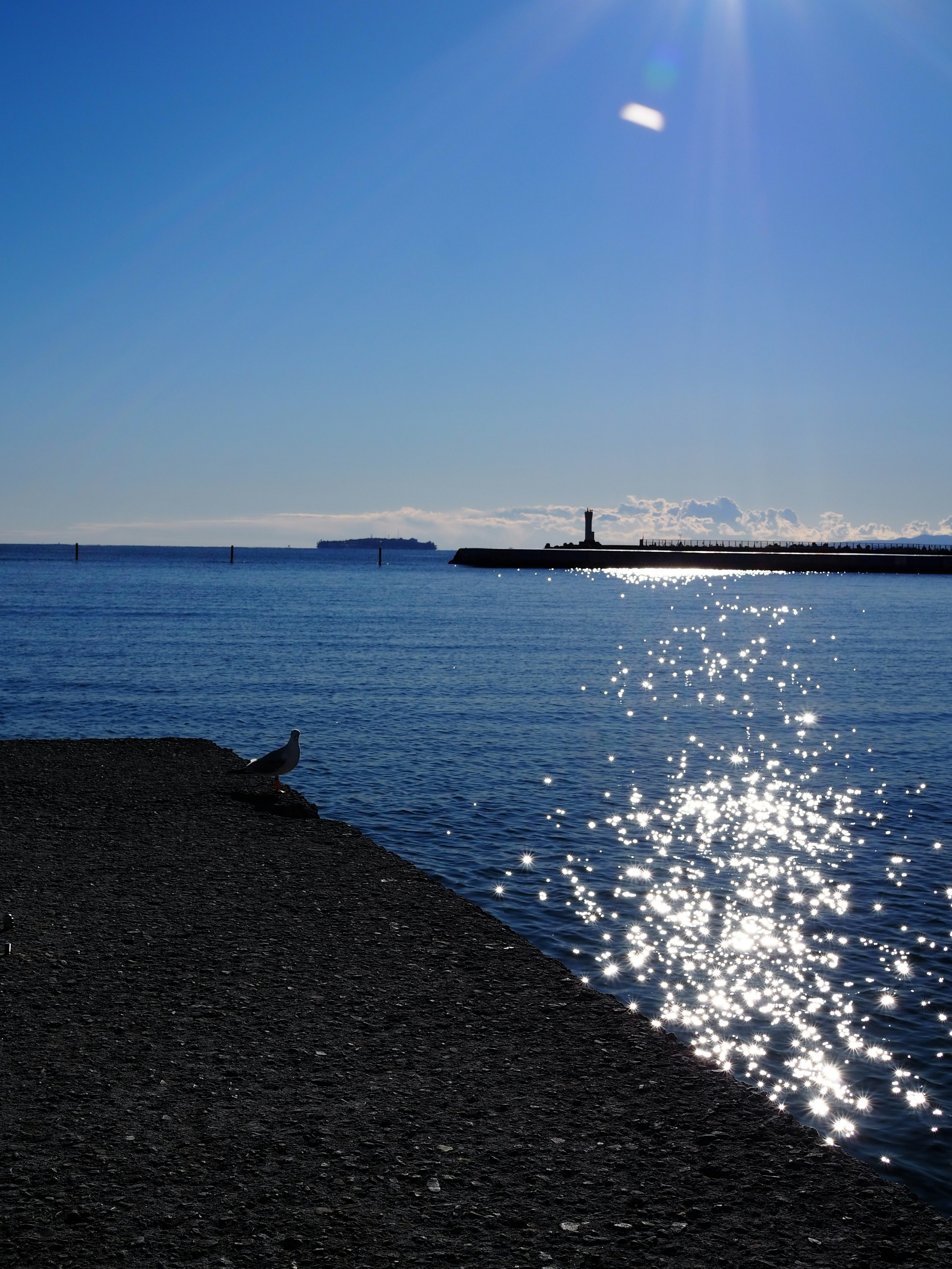 Coastal scene with blue water and sunlight reflecting on the surface