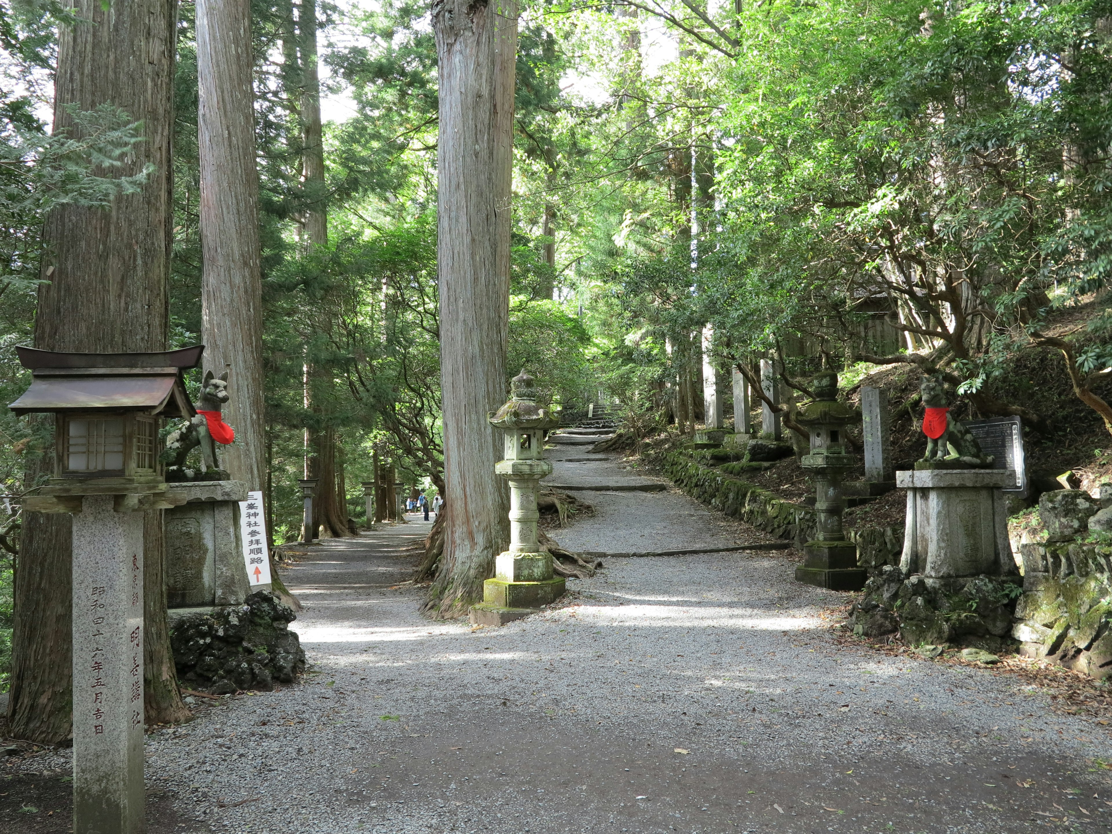 Pathway in a forest with stone lanterns and green trees