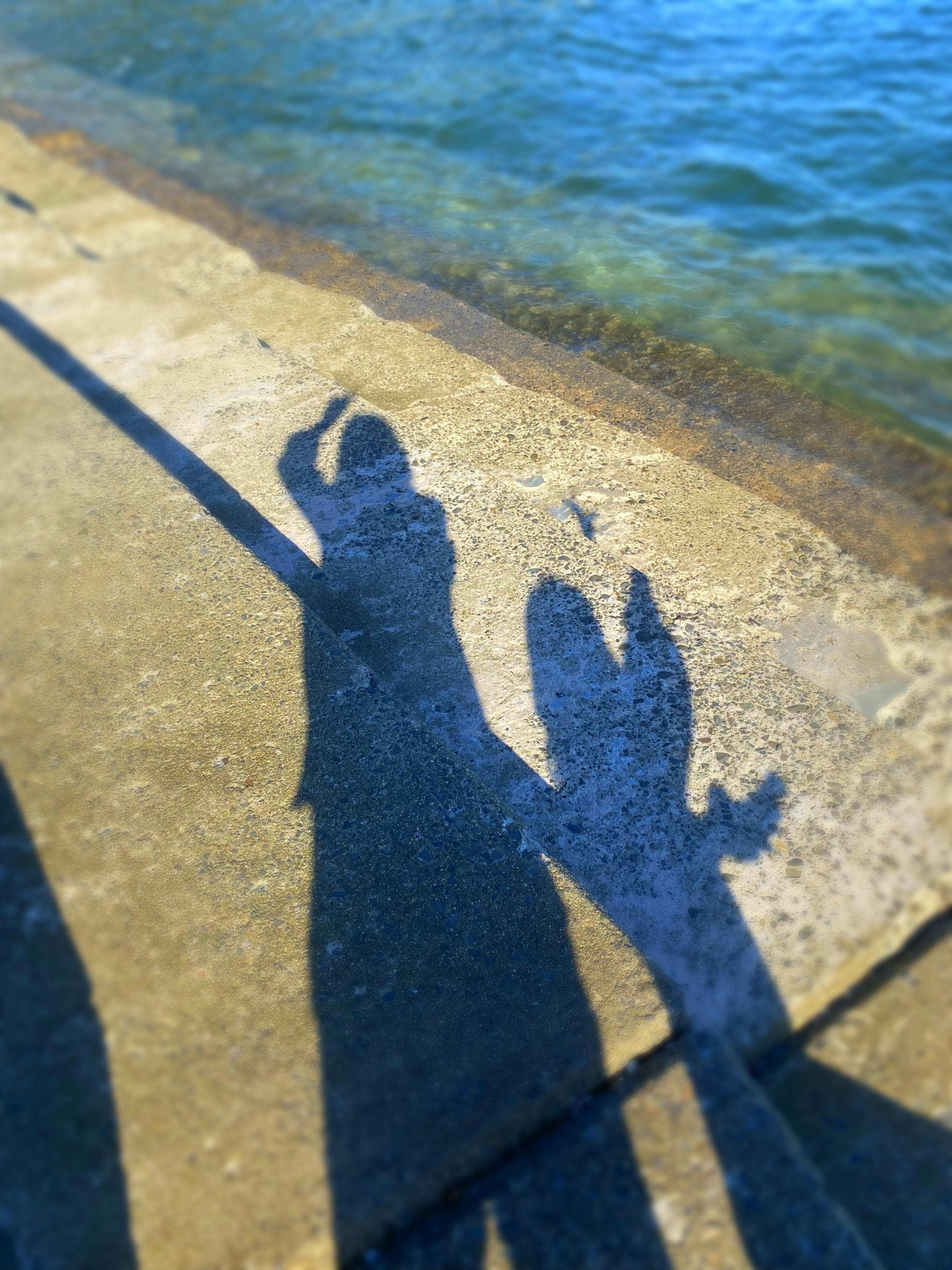 Silhouettes d'une personne et d'un chien projetées sur un chemin en bord de mer