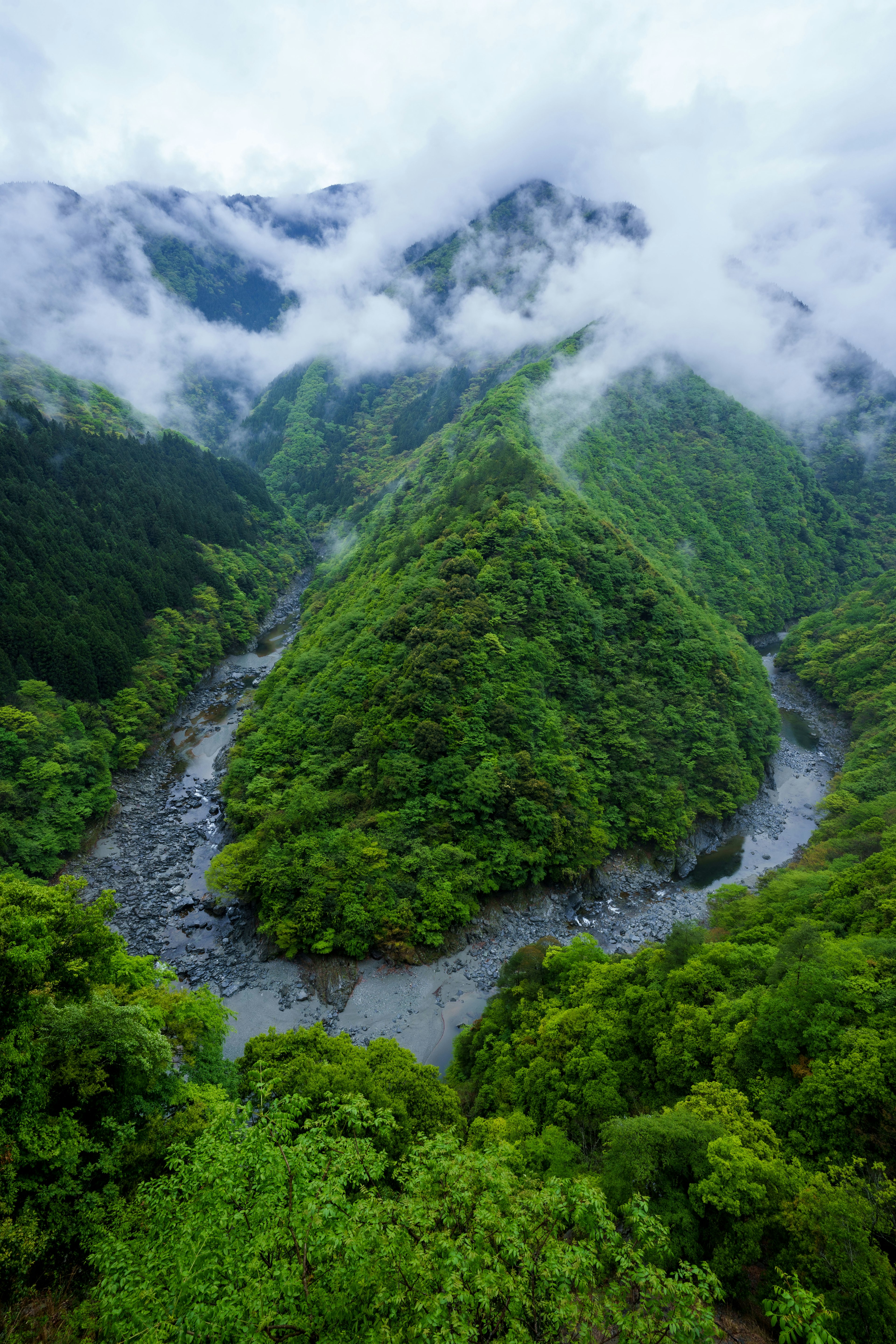 Montañas verdes exuberantes con valles brumosos y un río sinuoso