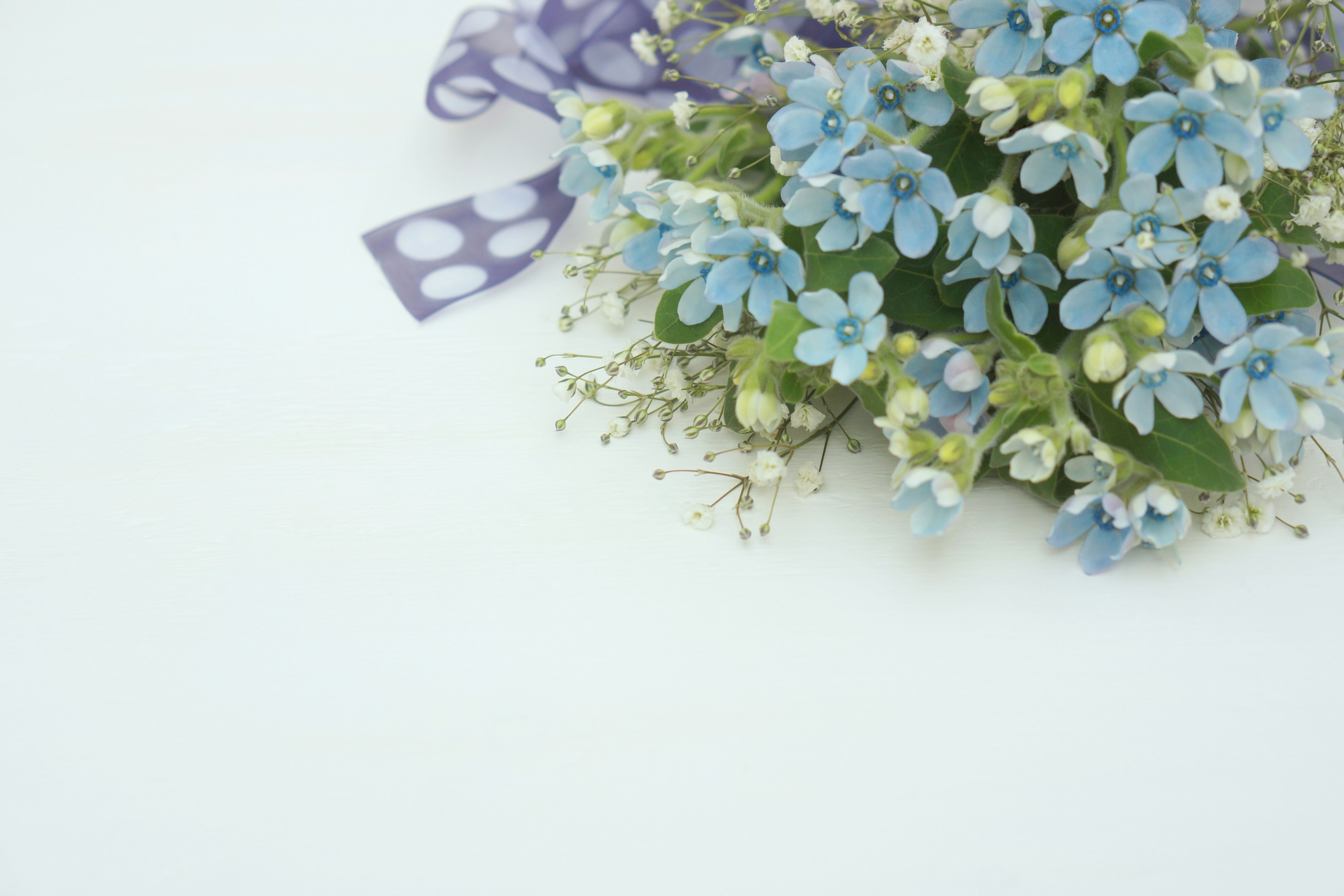 Bouquet of blue flowers with a purple ribbon