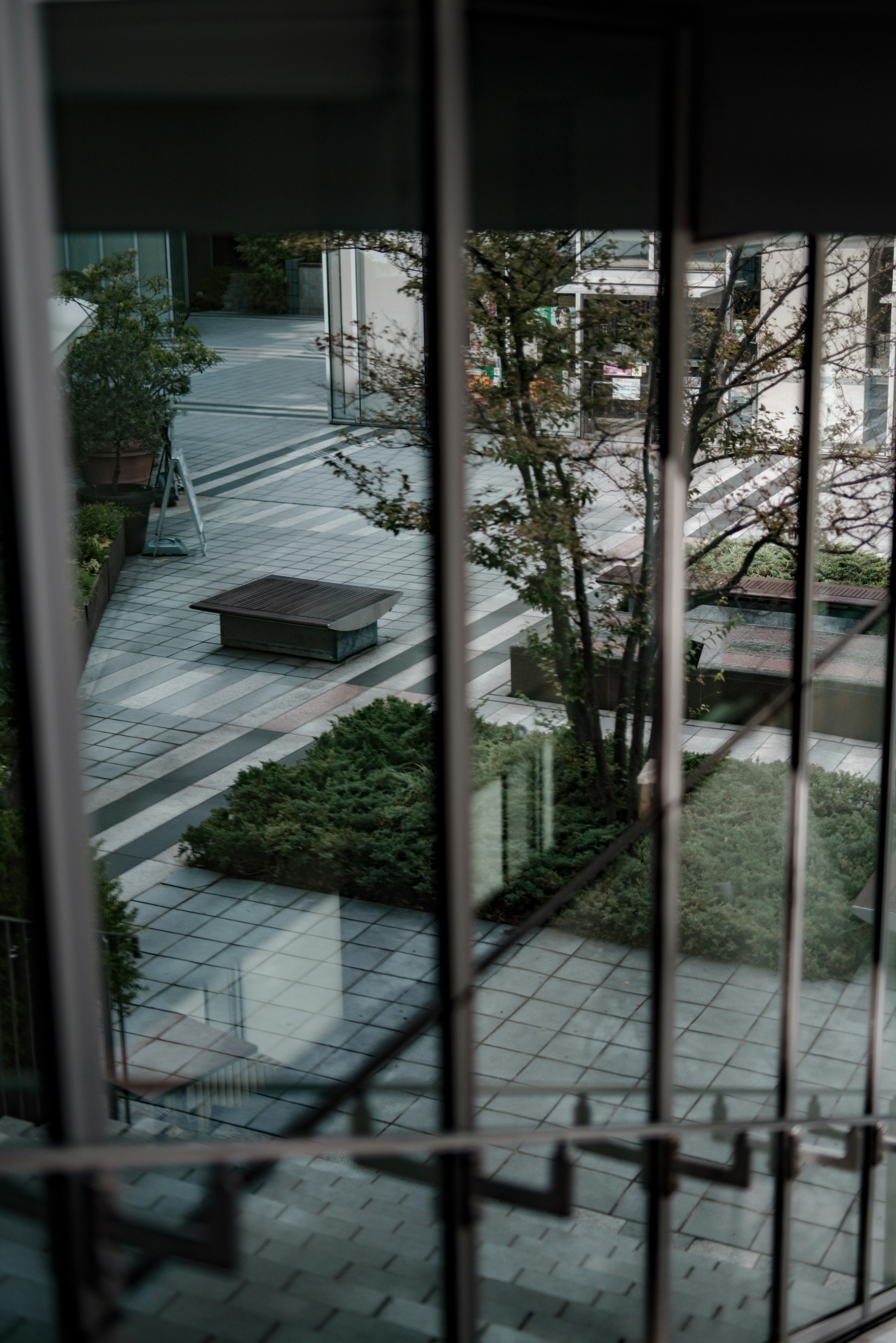 Blick auf einen ruhigen Innenhof durch ein Treppenfenster mit Pflanzen und Bänken