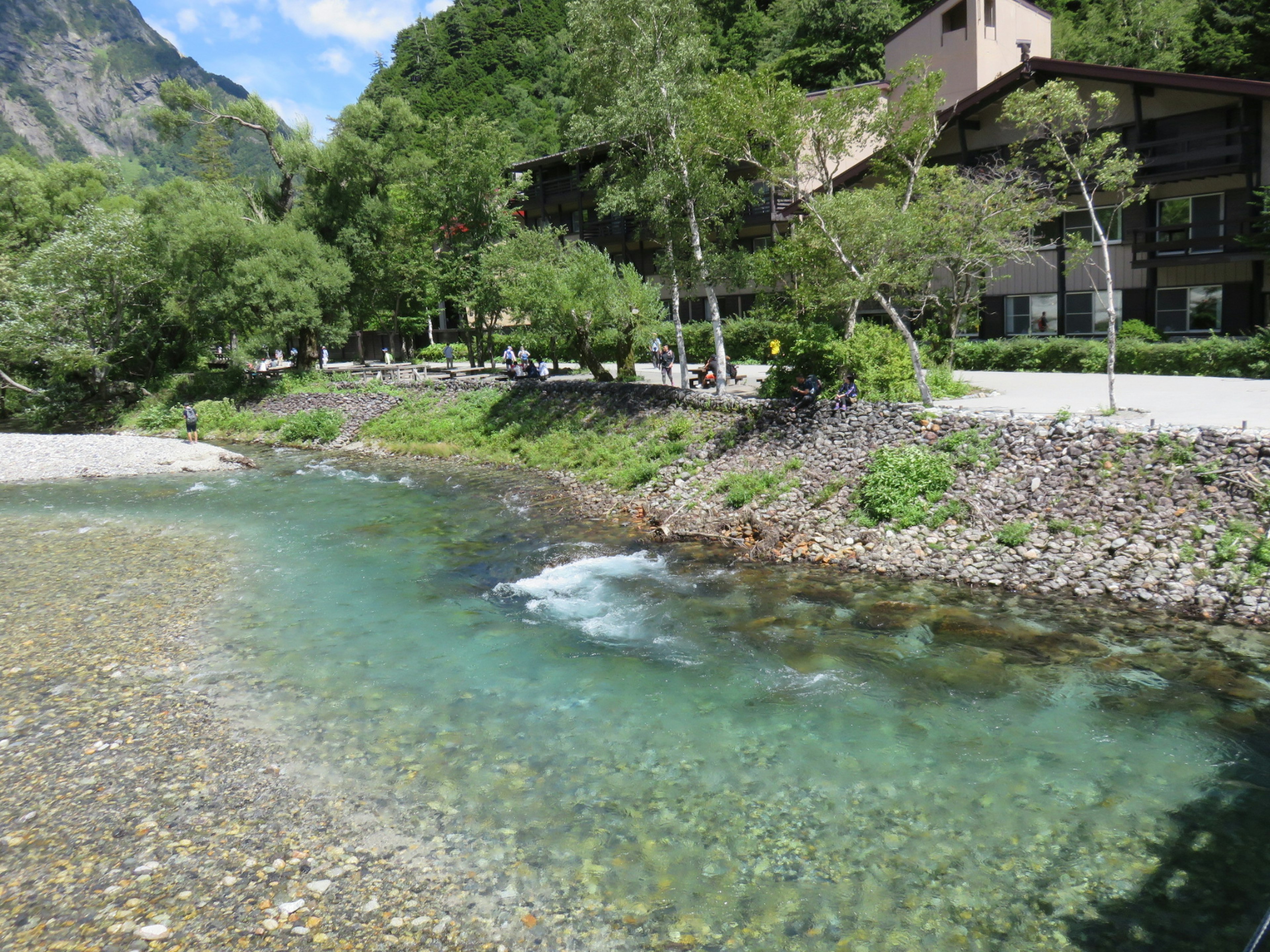 風景如畫的清澈河流與郁郁蔥蔥的綠樹和建築