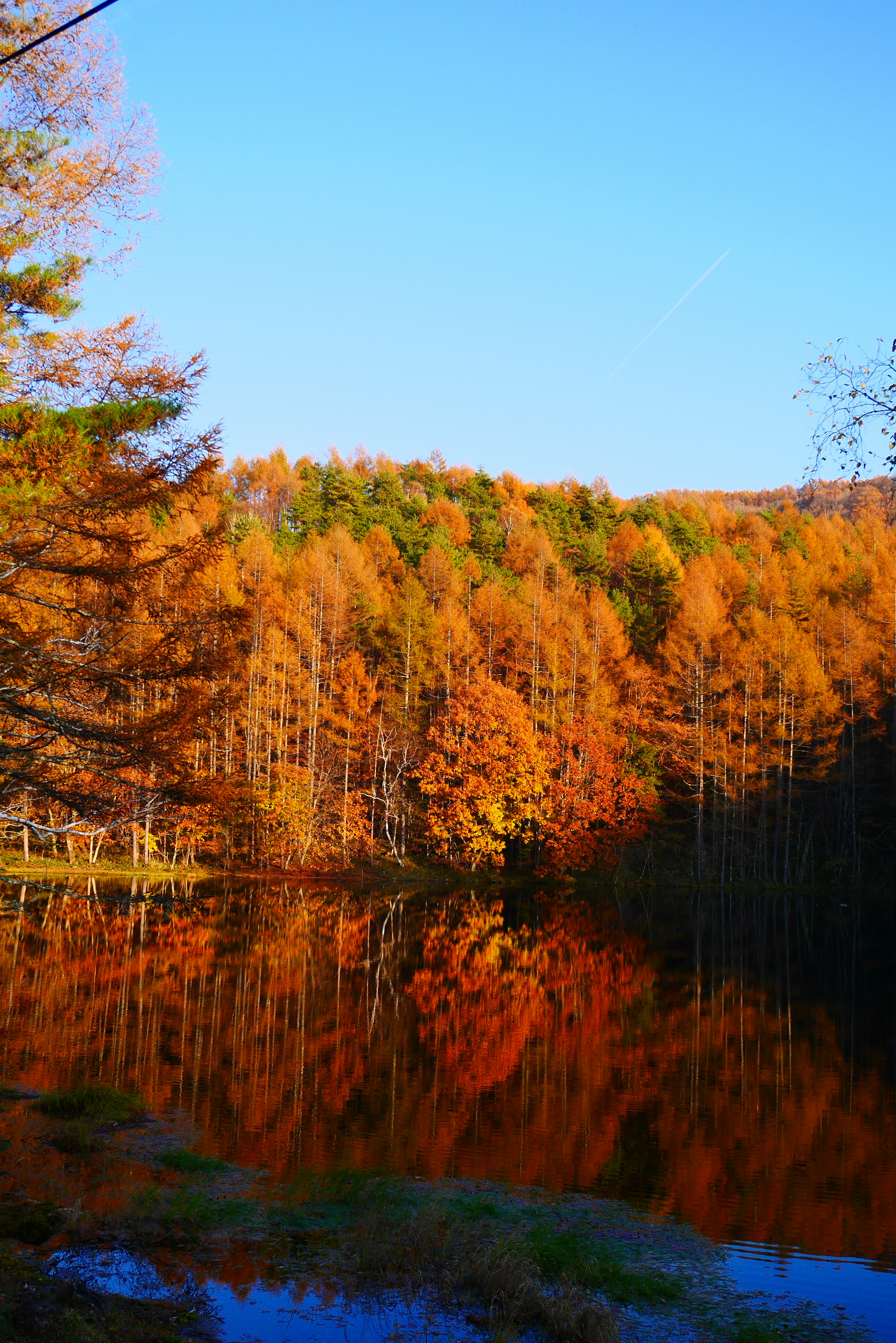 Paysage d'automne avec des arbres colorés se reflétant dans un lac calme