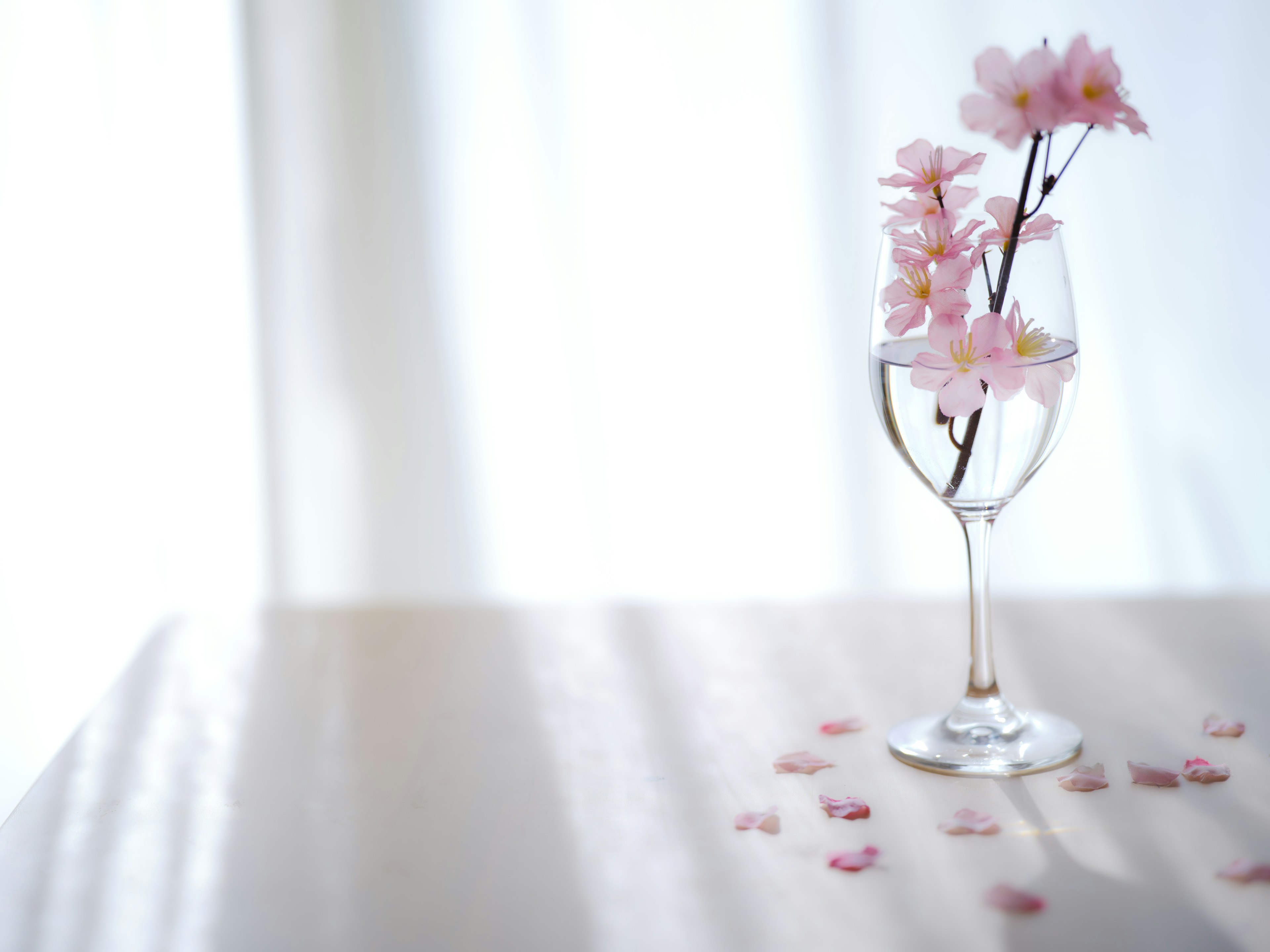 A glass containing pink cherry blossoms with petals scattered around