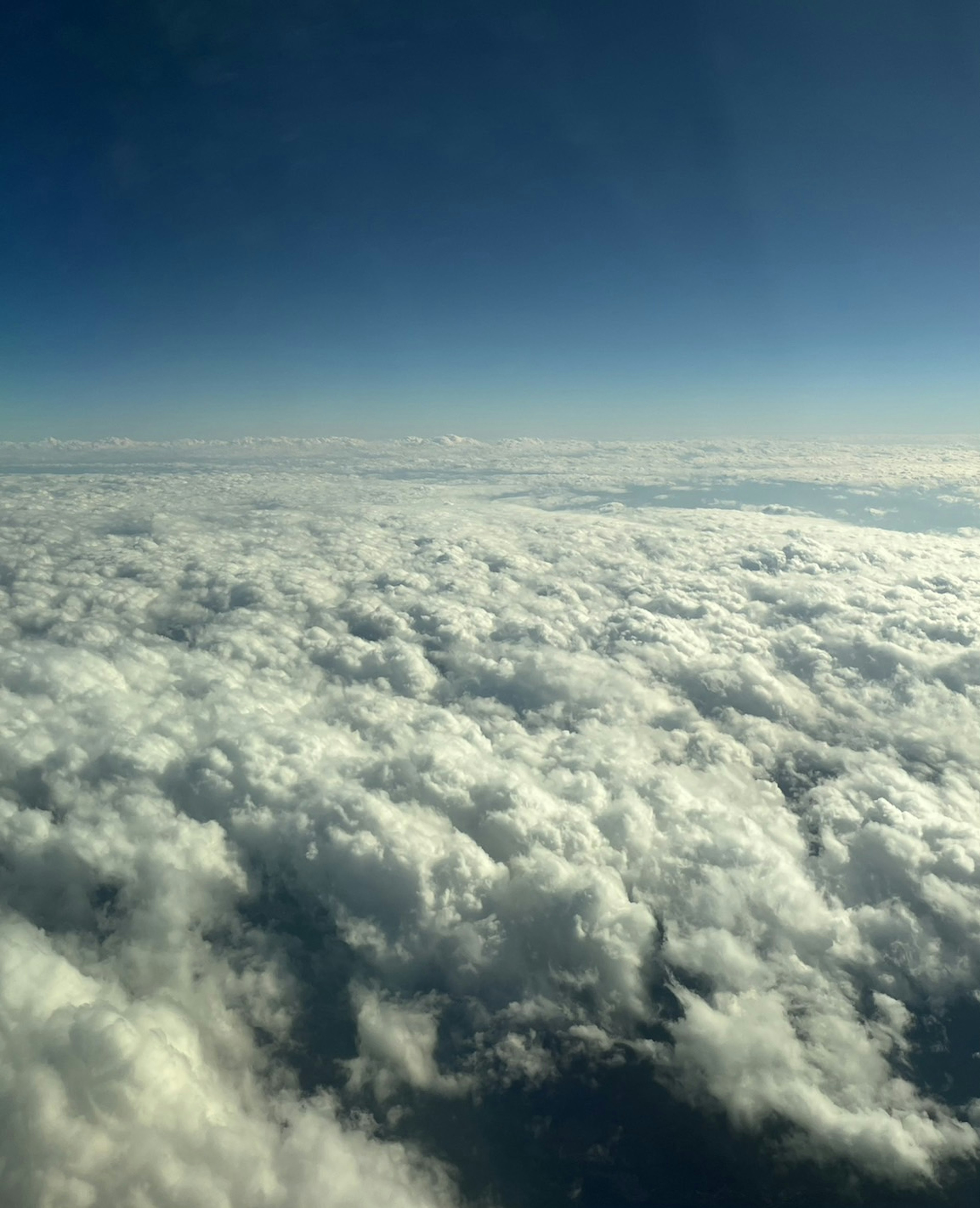 Sea of white clouds under a clear blue sky