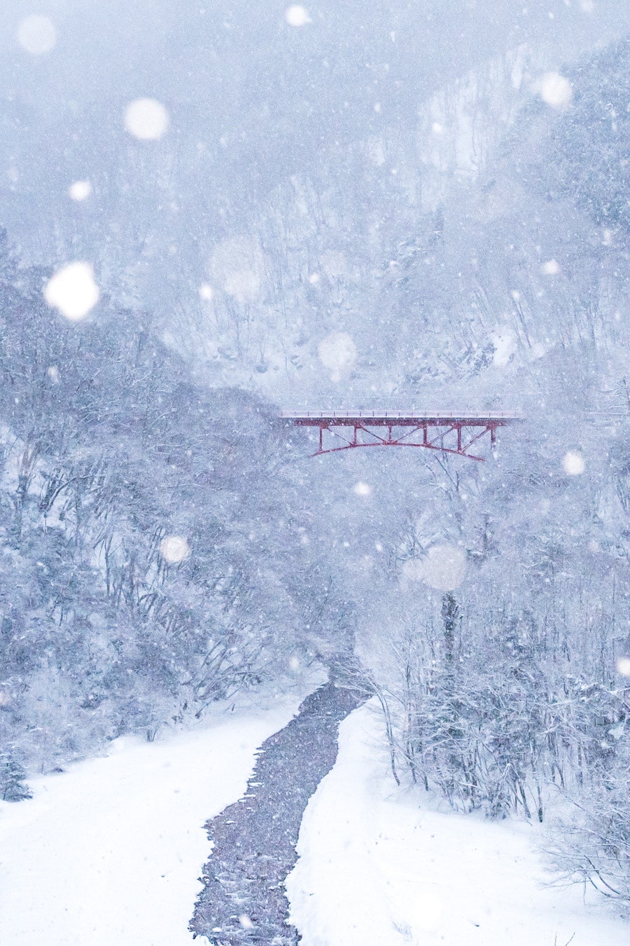 小川 渓谷の景色 Photos | Download Royalty-Free Images & High