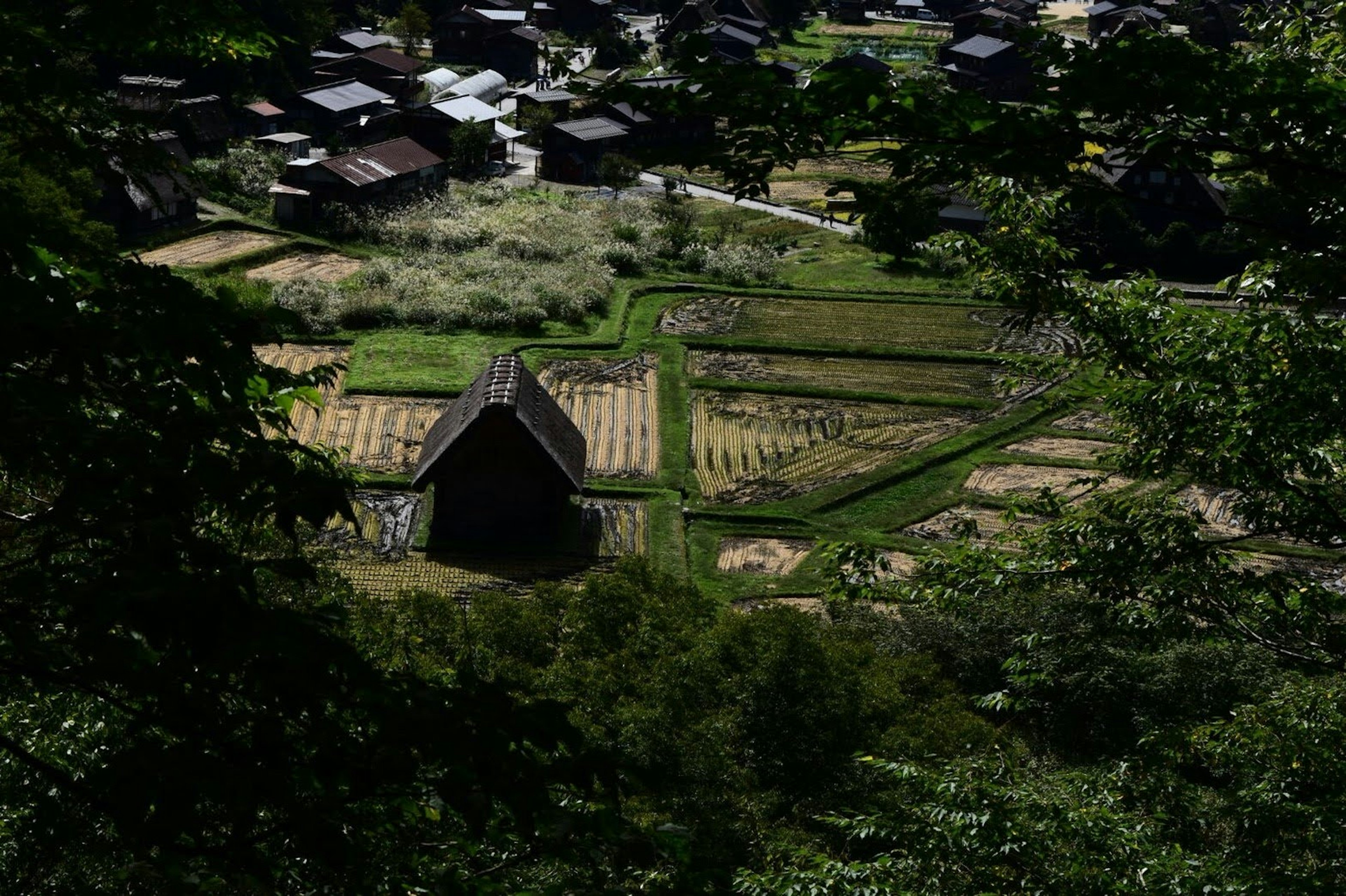 山間にある伝統的な日本の家屋と田畑の風景