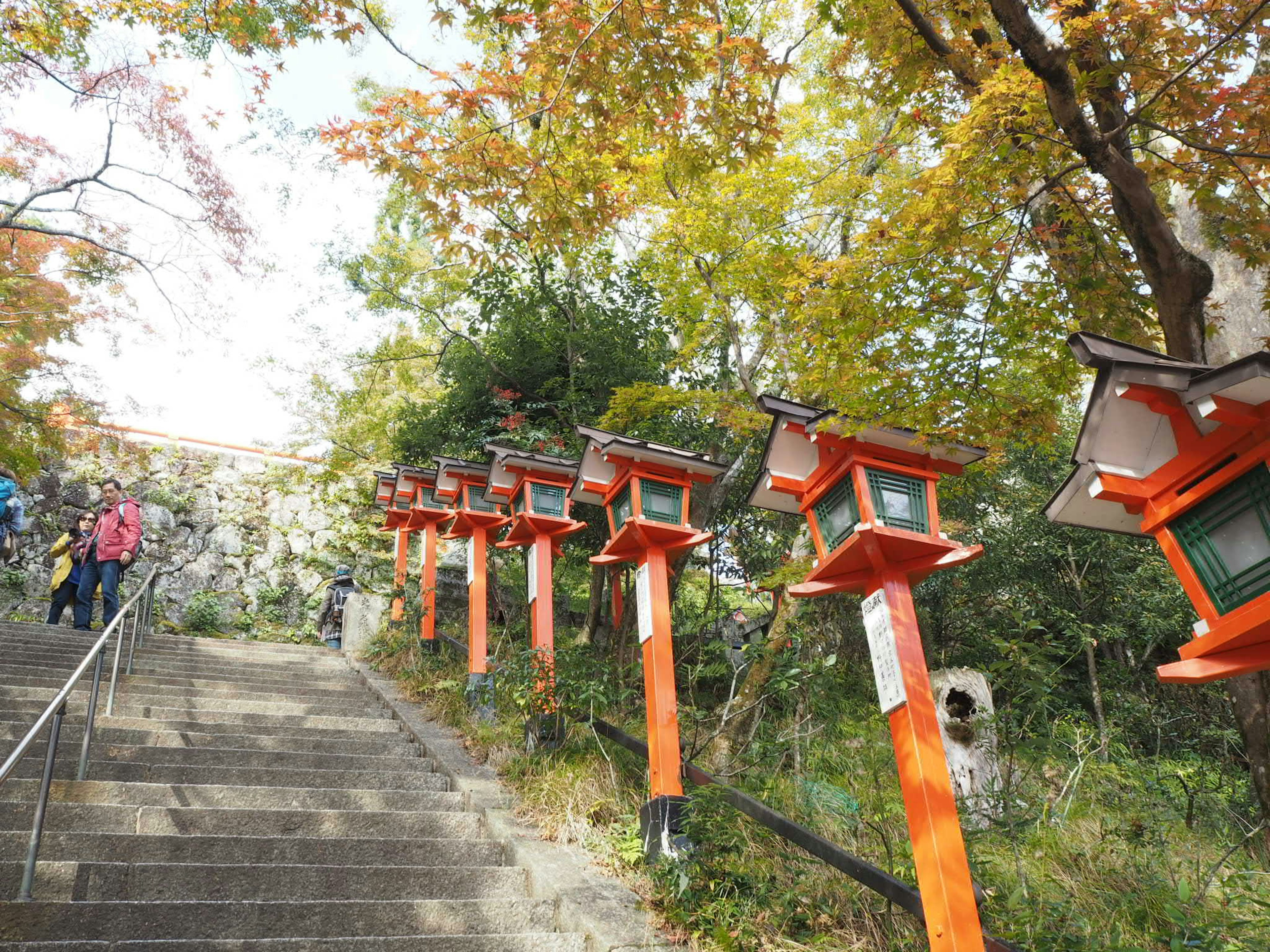 紅葉した木々と赤い灯篭が並ぶ階段の風景