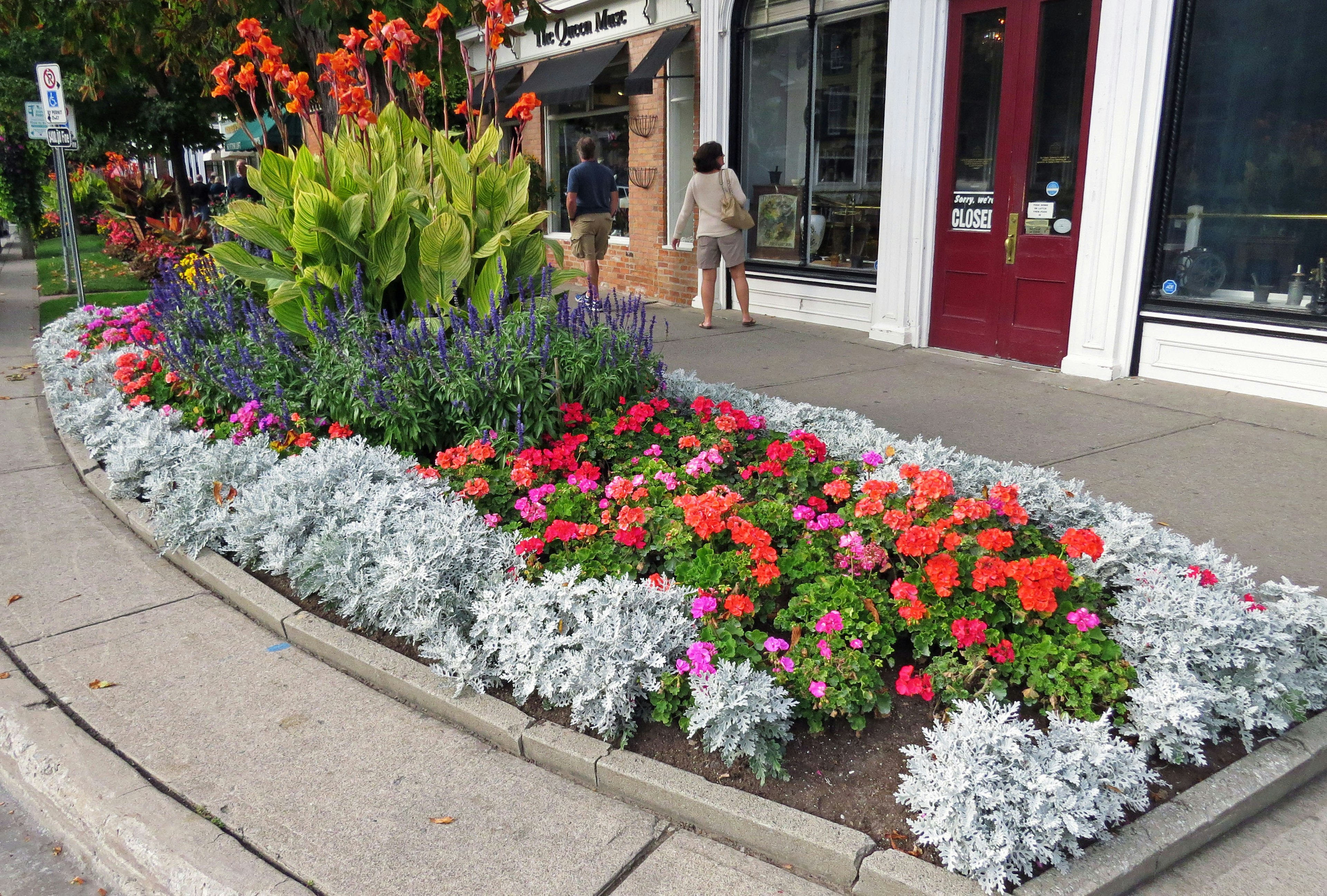 Parterre de flores coloridas frente a una tienda