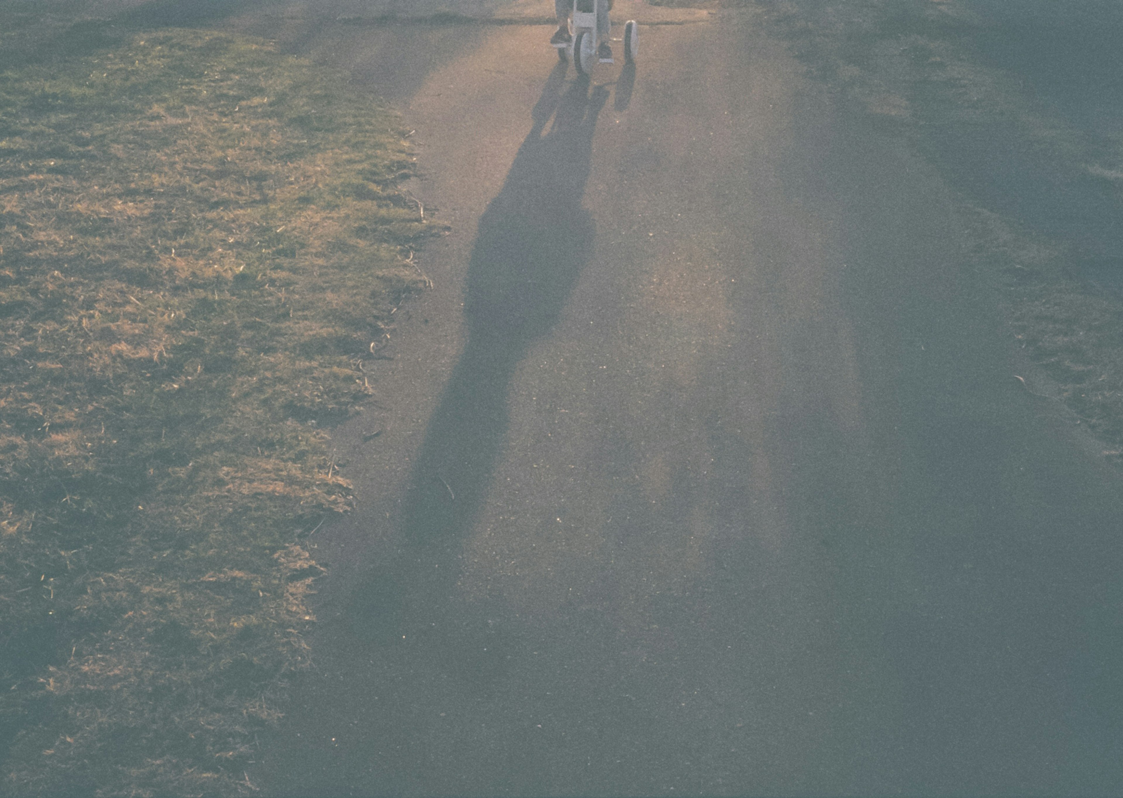 Schatten von Menschen, die auf einem Weg gehen