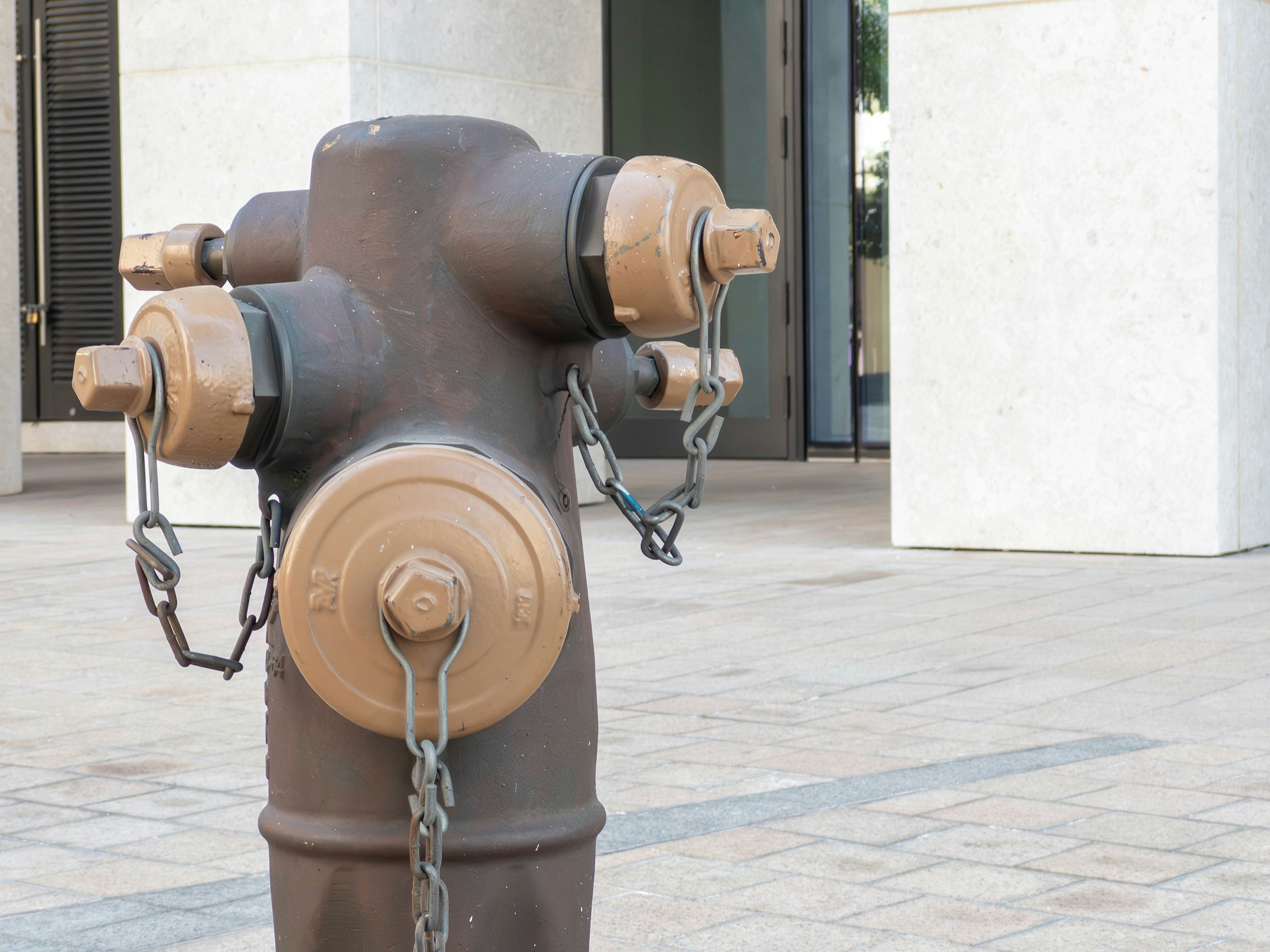 Hydrant de incendie marron situé devant un bâtiment