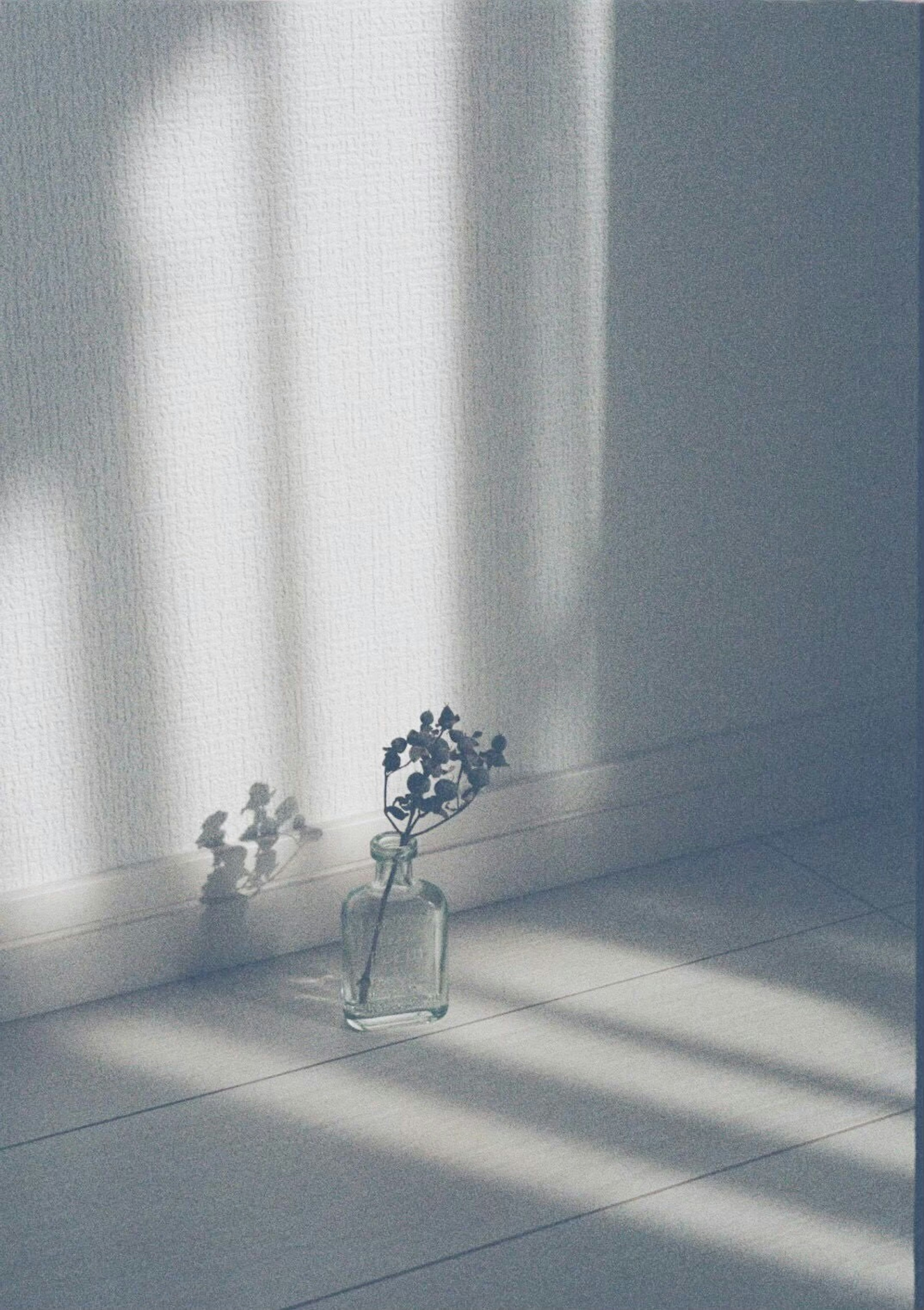 Eine kleine Vase mit Blumen, die Schatten auf eine weiße Wand und einen weißen Boden werfen