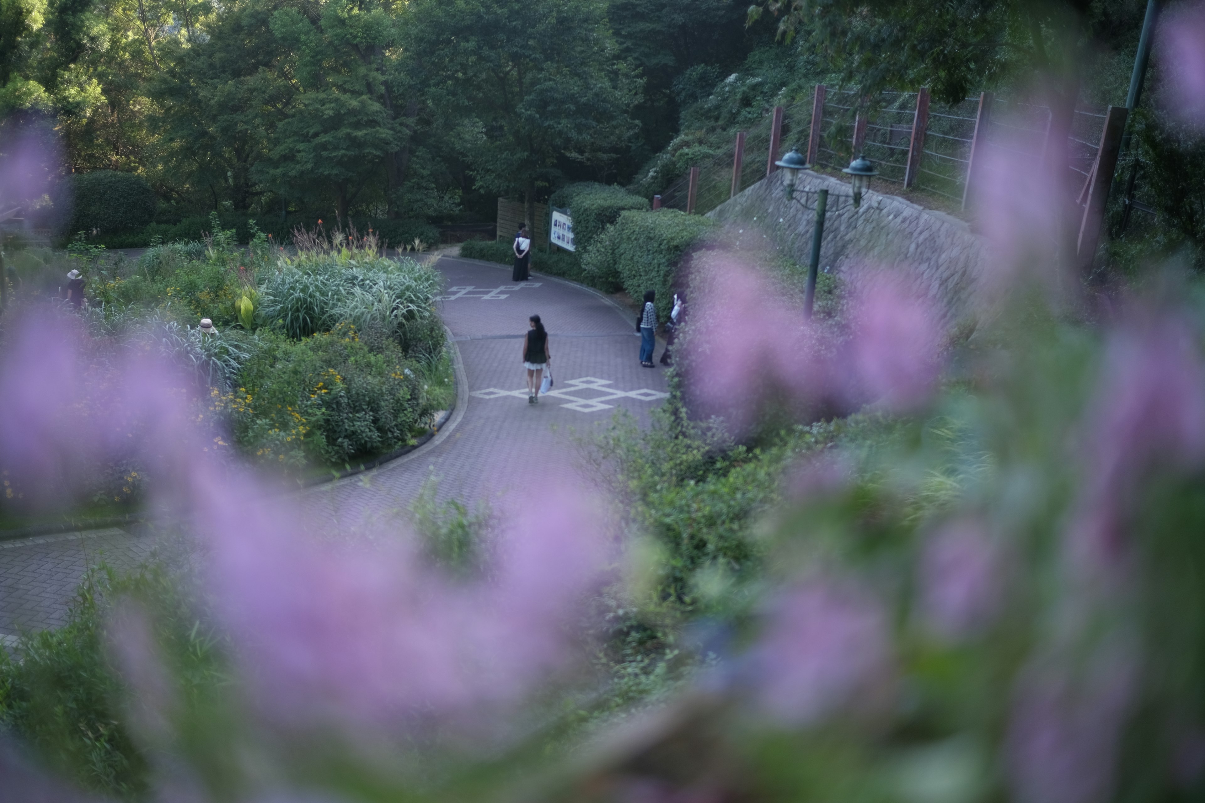 A winding path in a green park with flowers and people walking