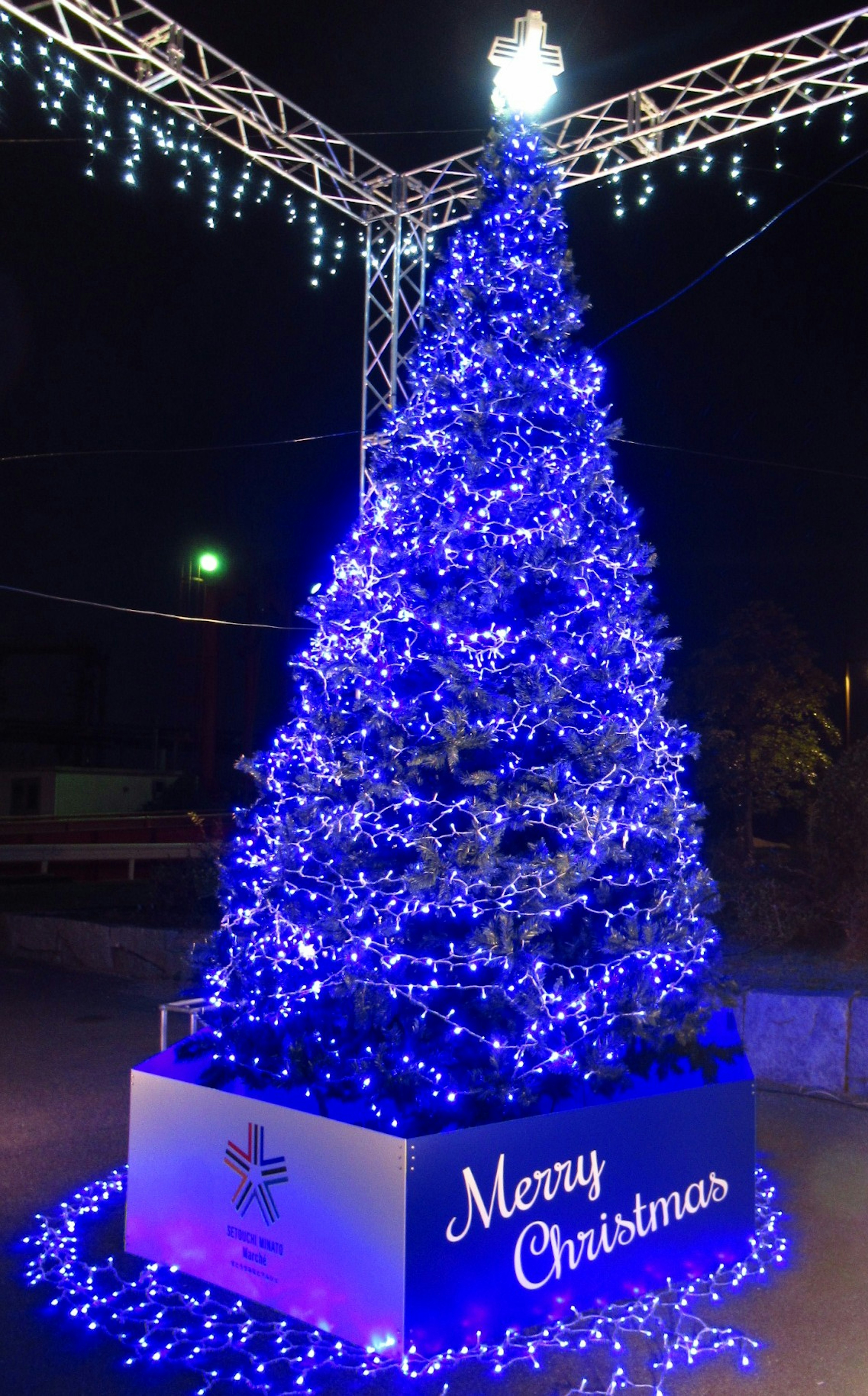 Pohon Natal dihias dengan lampu biru dan tanda yang bertuliskan Selamat Natal