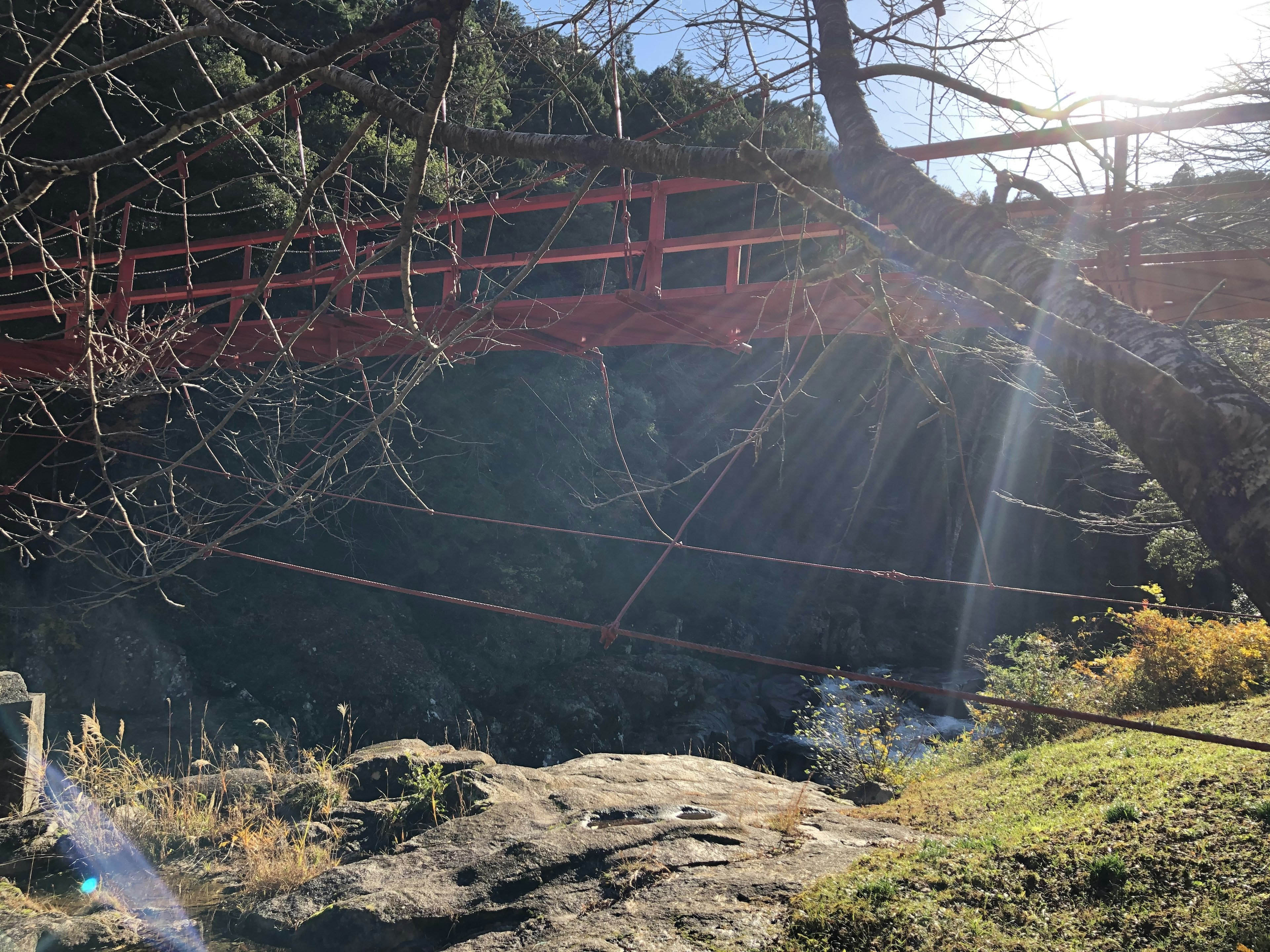 赤い橋と自然の景色の写真 太陽の光が差し込む