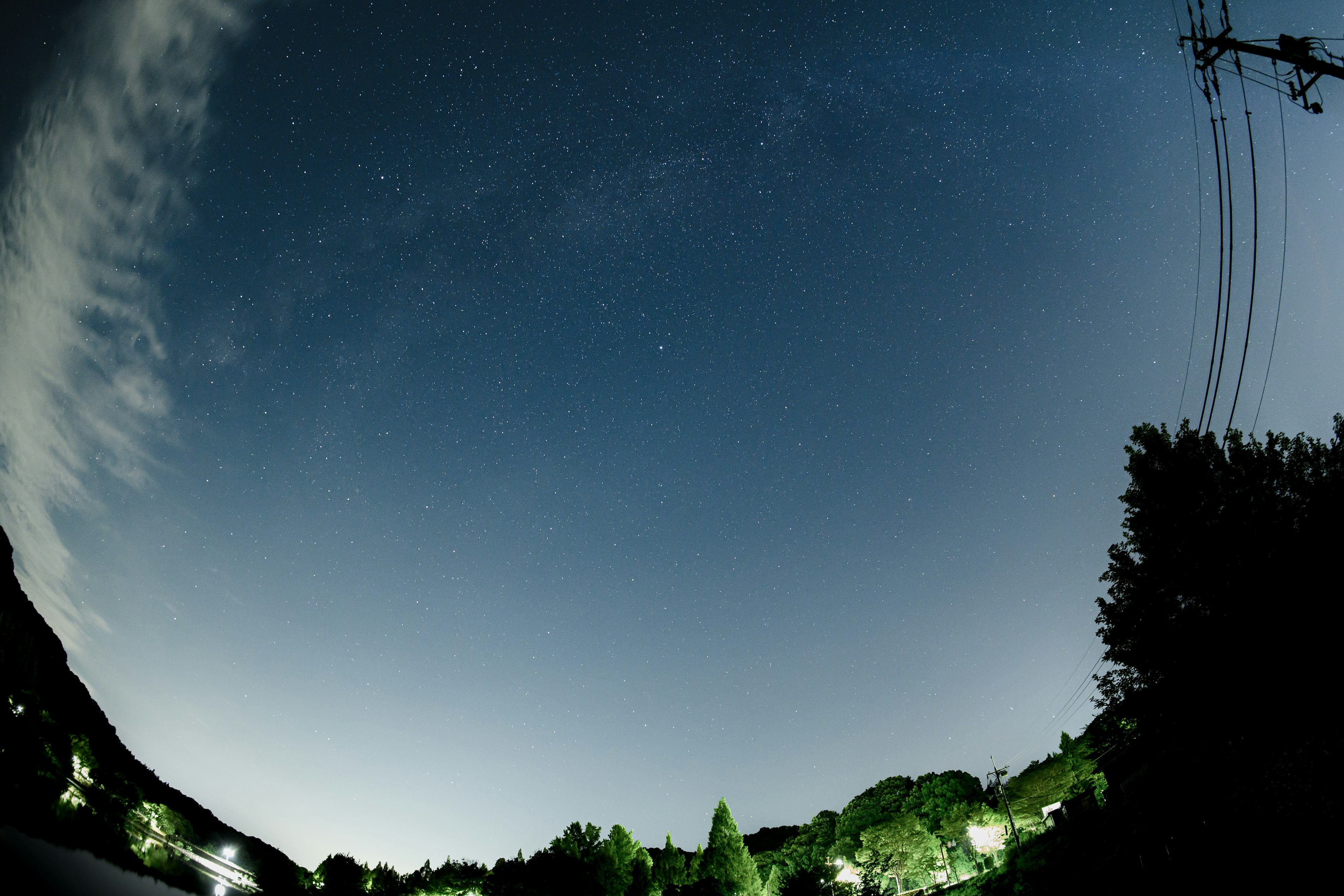 Langit malam berbintang dengan siluet pohon