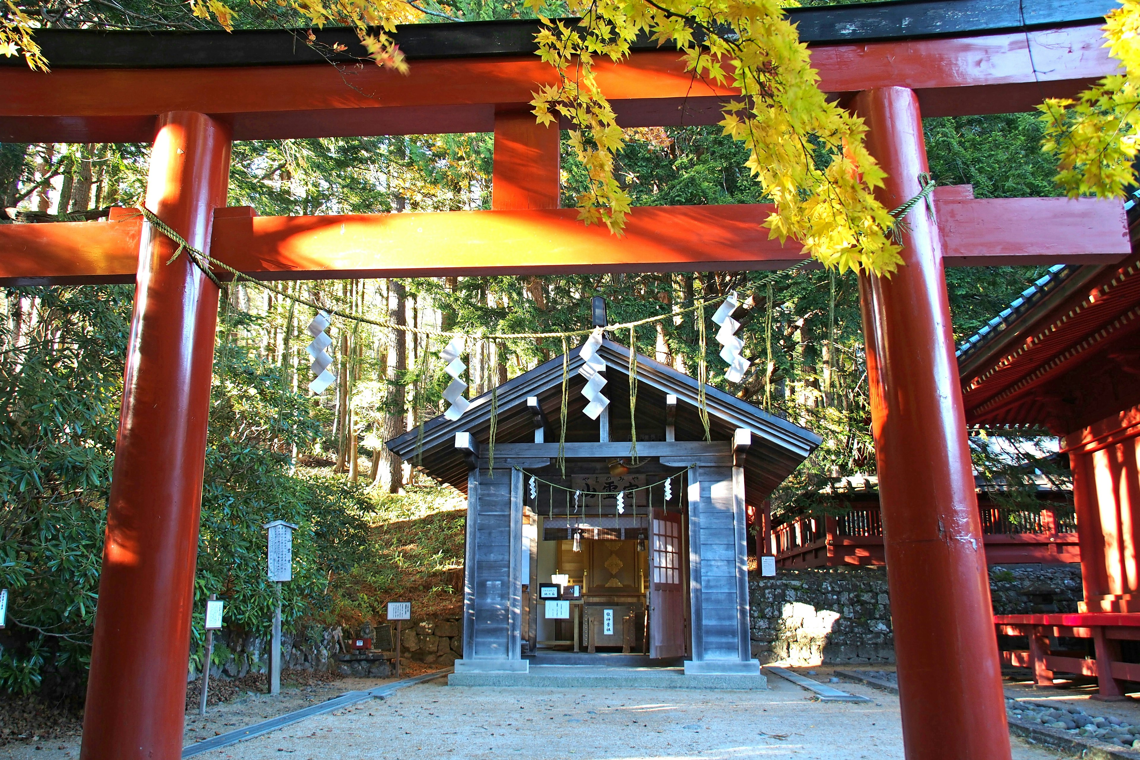 赤い鳥居と木立の中にある神社の入り口