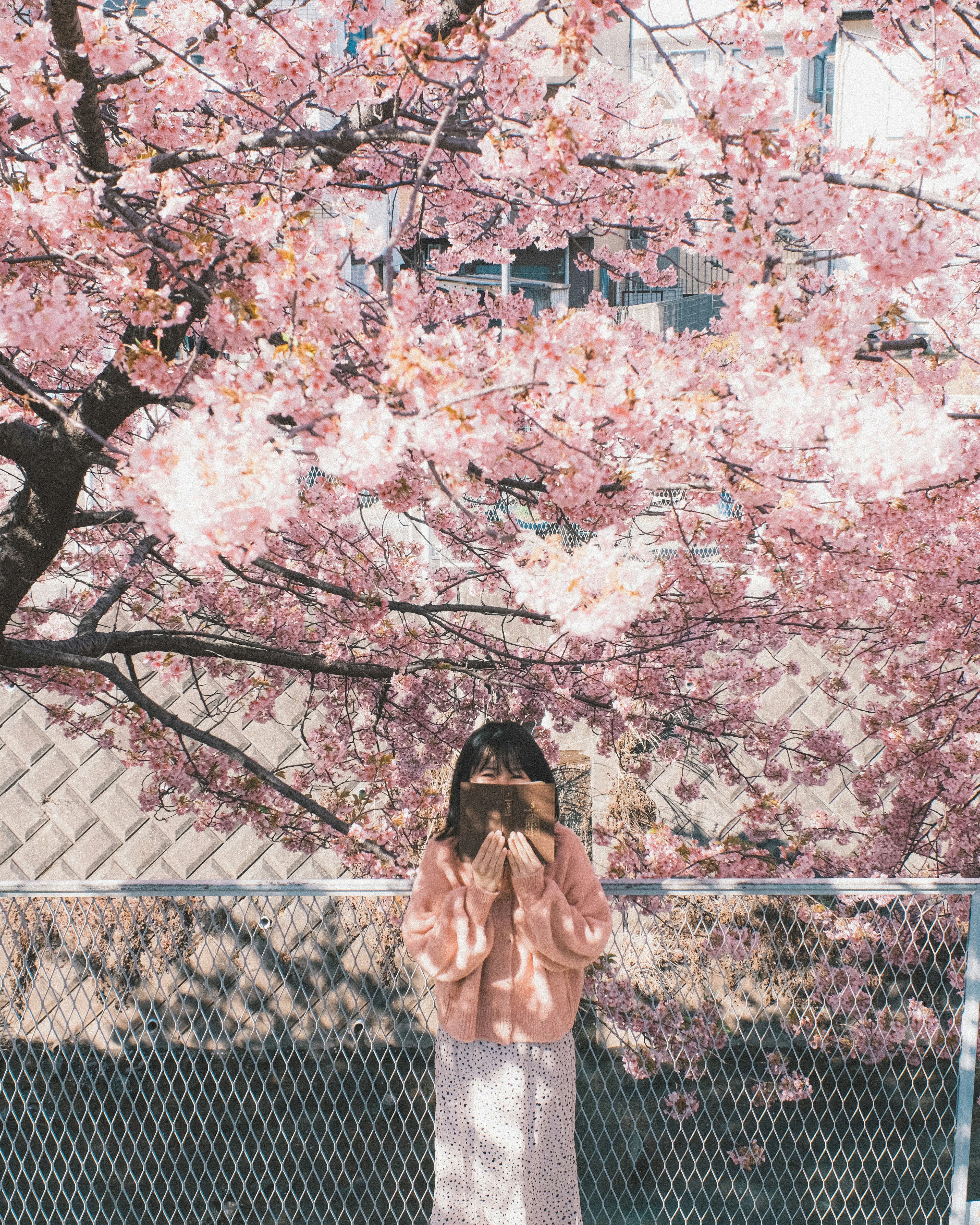 桜の花の前に立つ女性がカメラを持っている