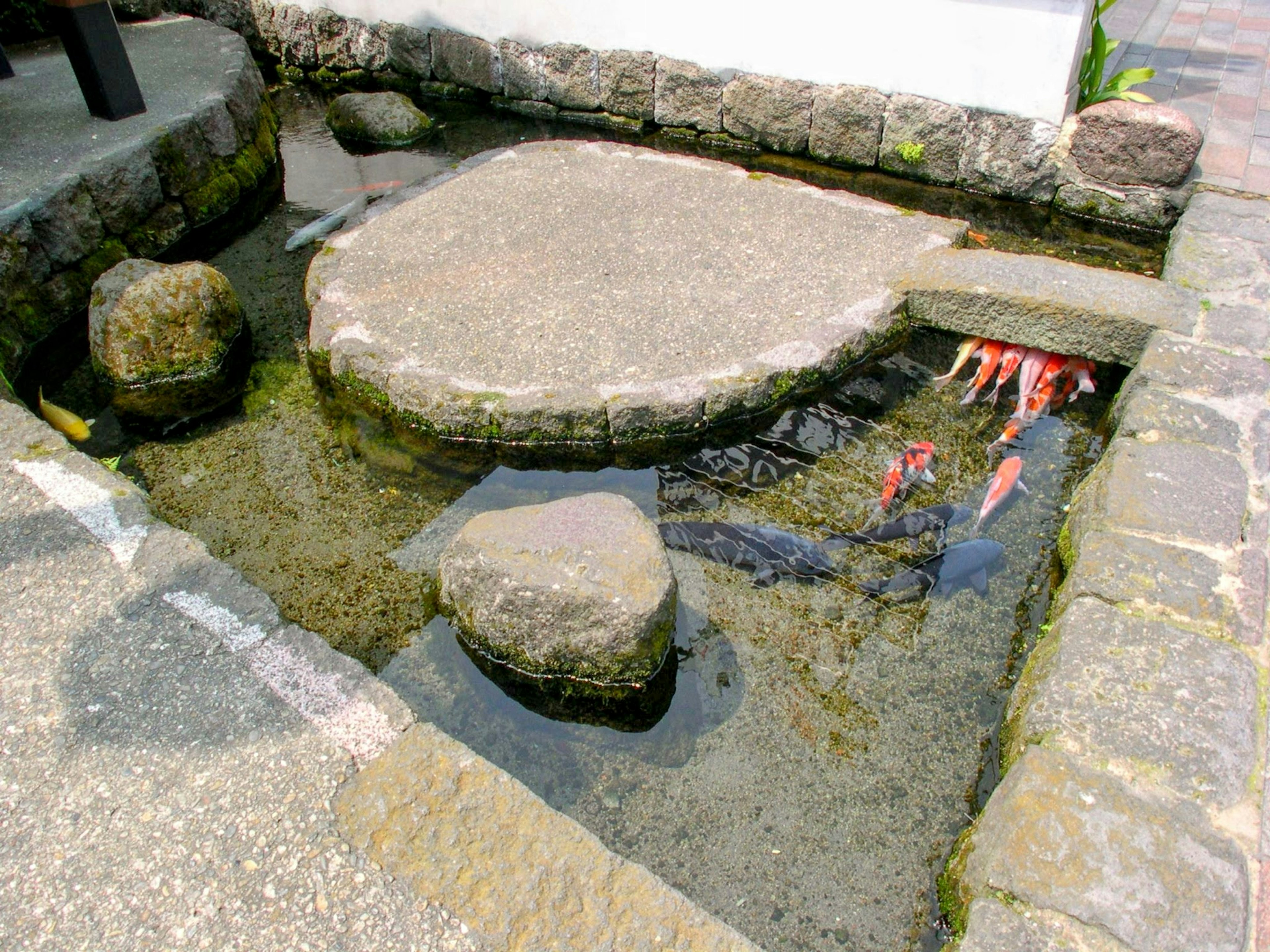 Runde Steinplattform umgeben von Felsen und Wasserbecken