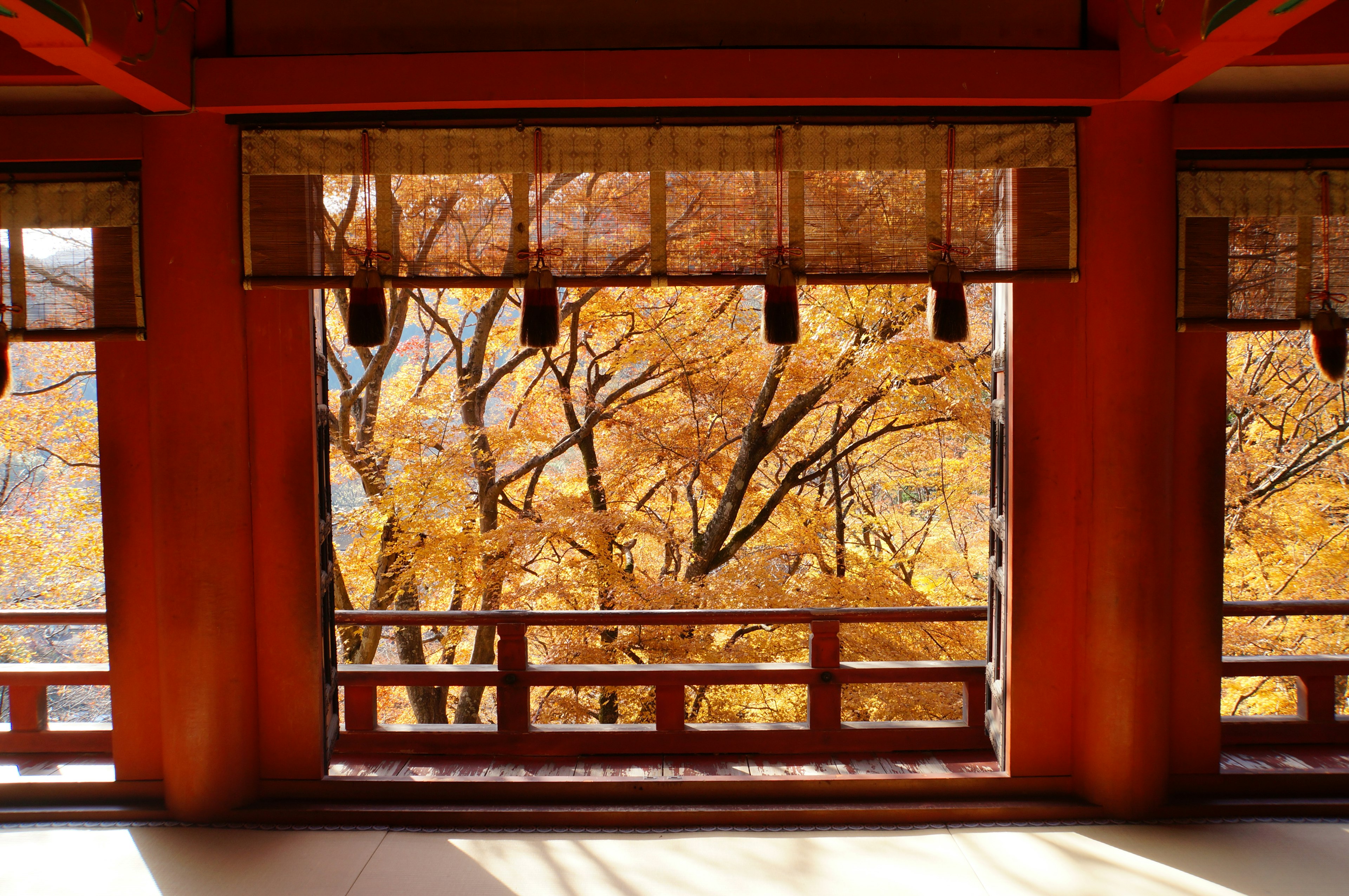 Habitación japonesa con vista a árboles de otoño a través de la ventana