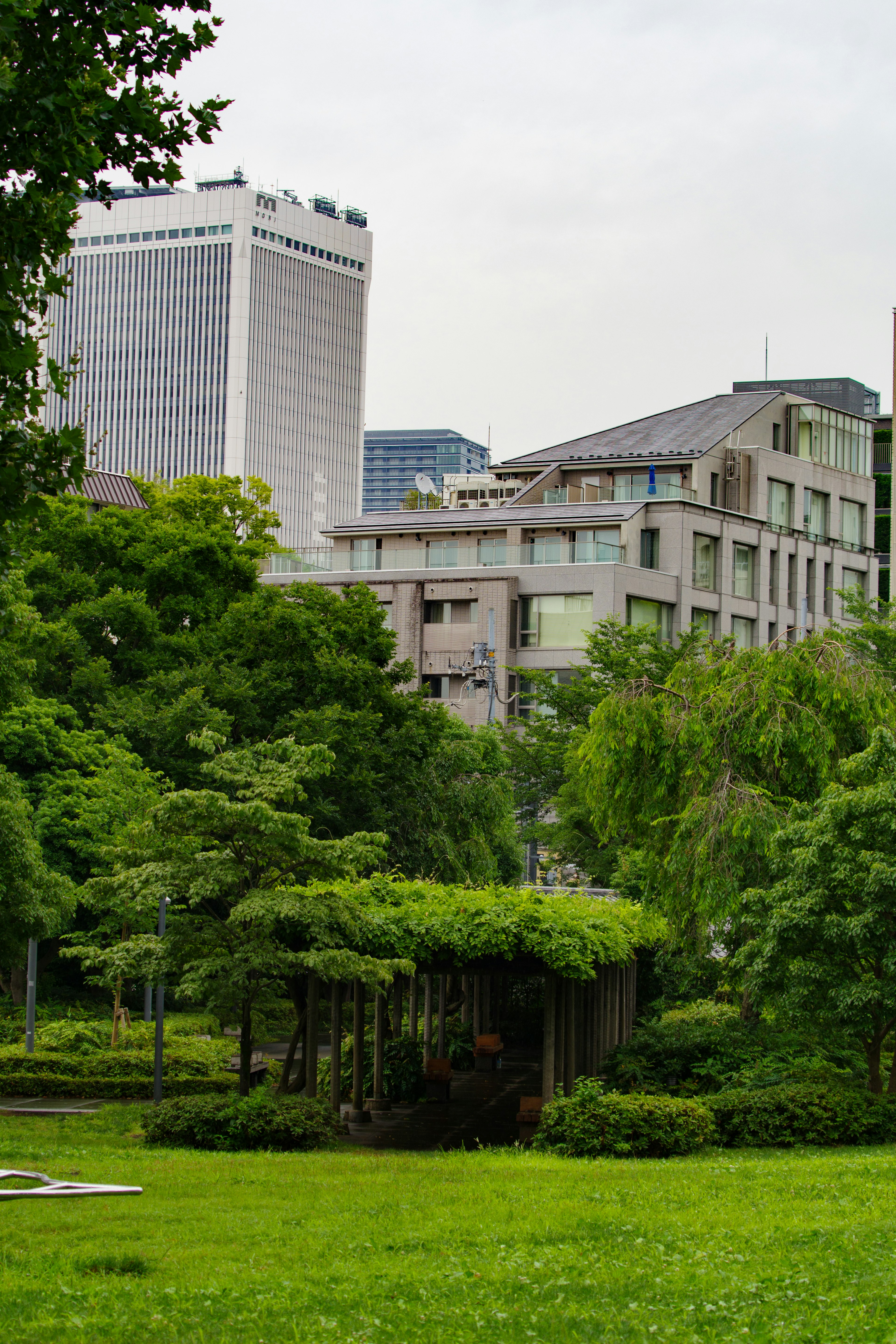 Scène de parc verdoyant avec des bâtiments modernes en arrière-plan