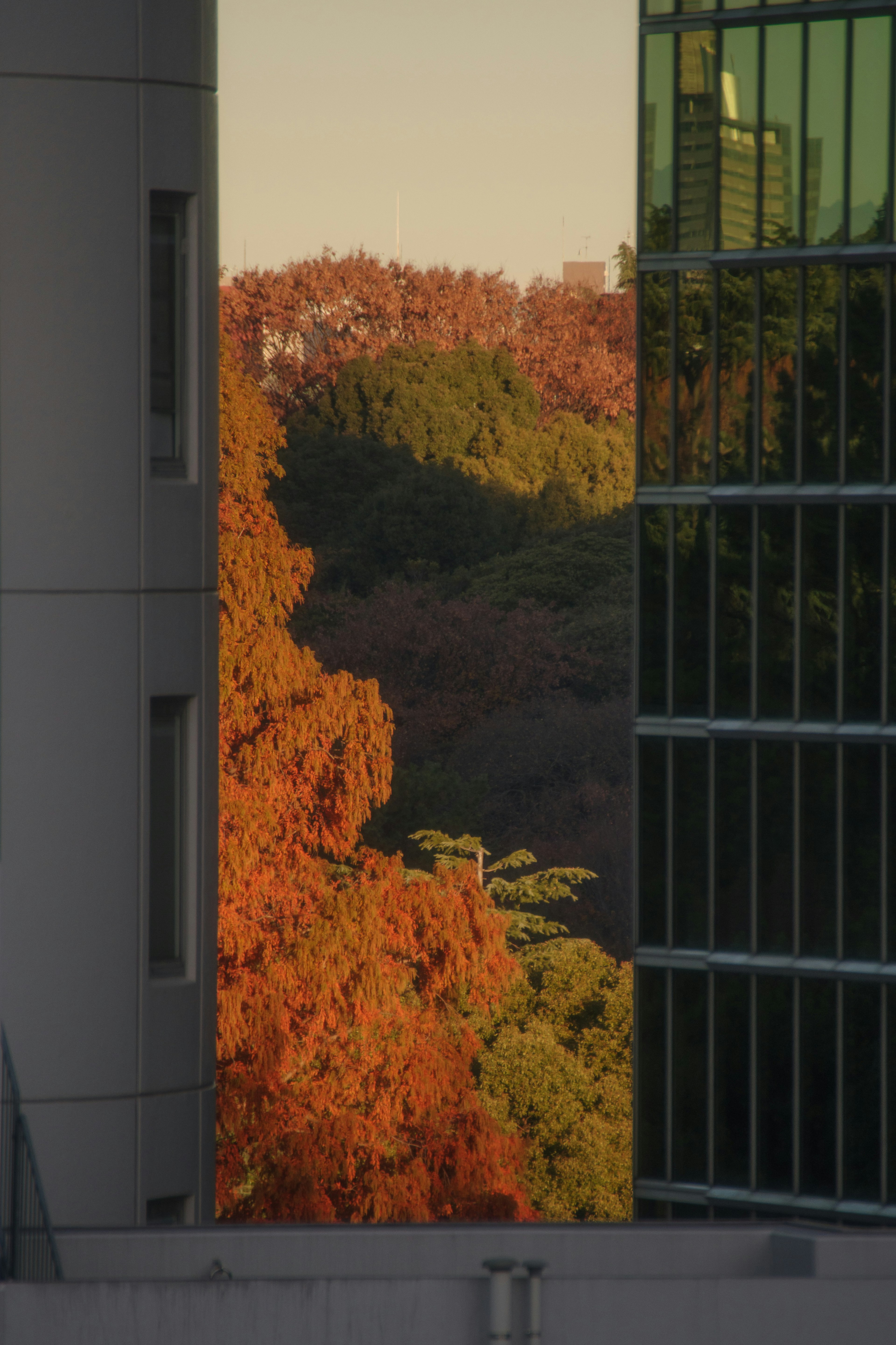 Städtische Landschaft mit Herbstlaub