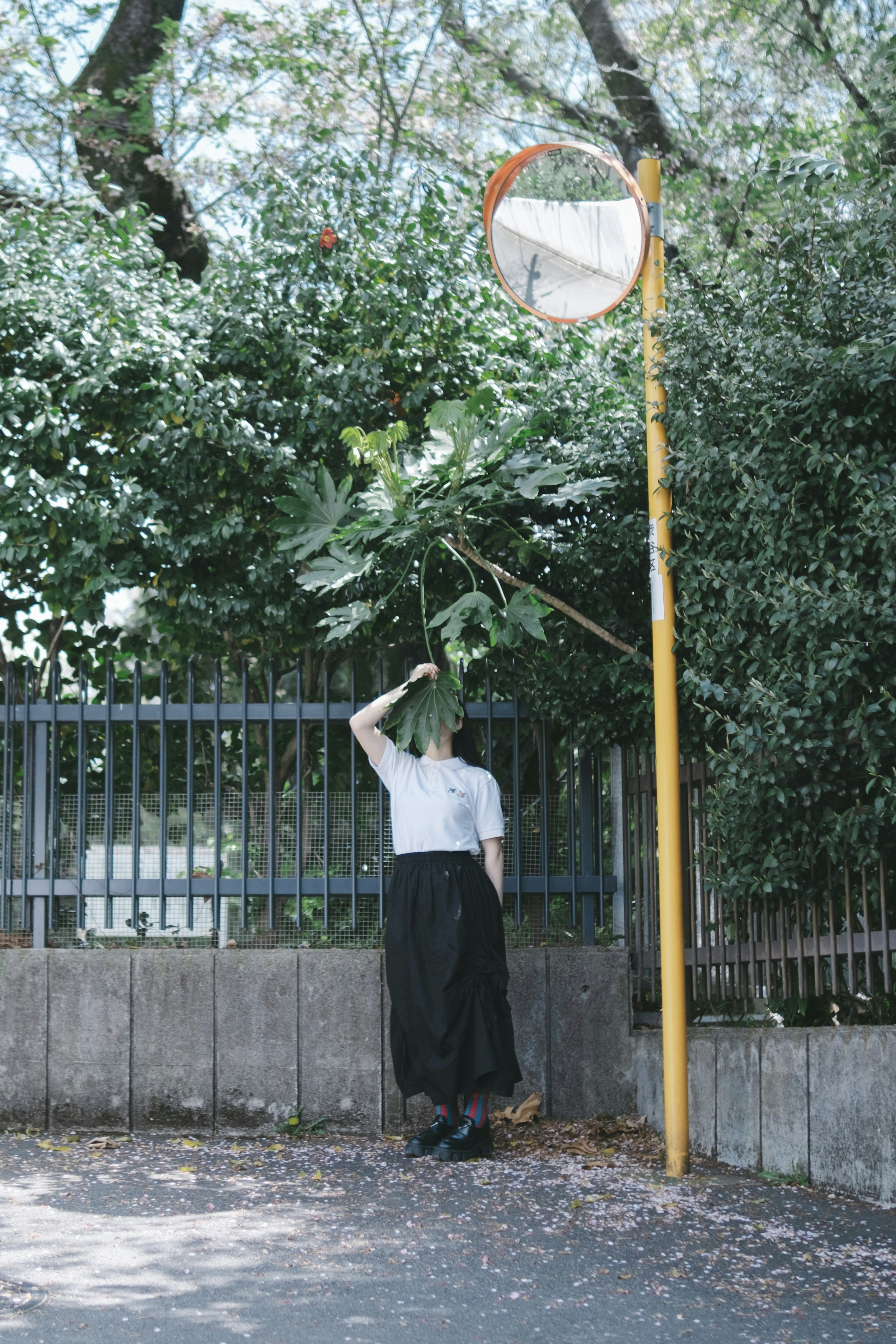 一名女性站在綠色樹葉下，手持公車站標誌