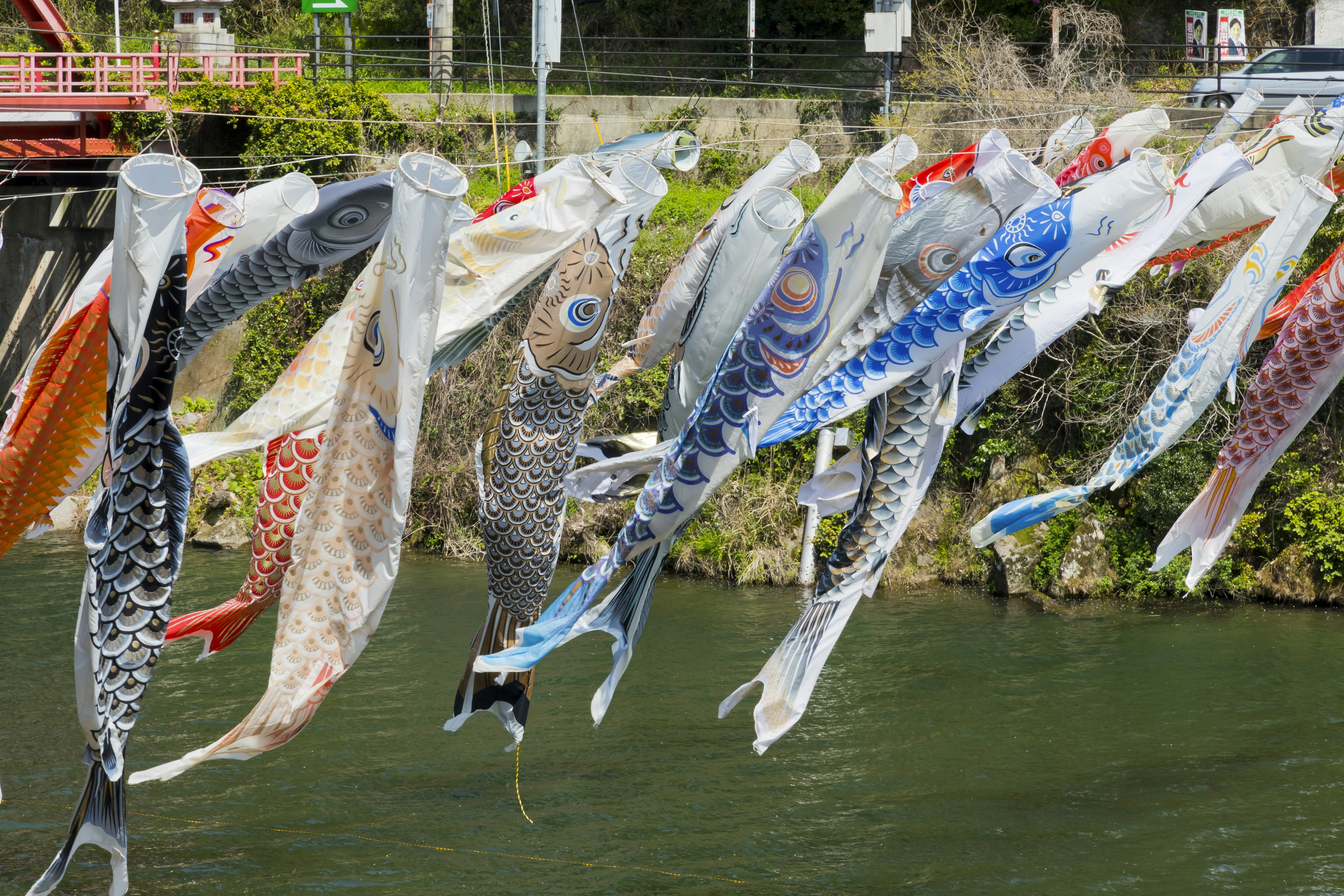 Drapeaux en forme de carpe colorés suspendus près d'une rivière