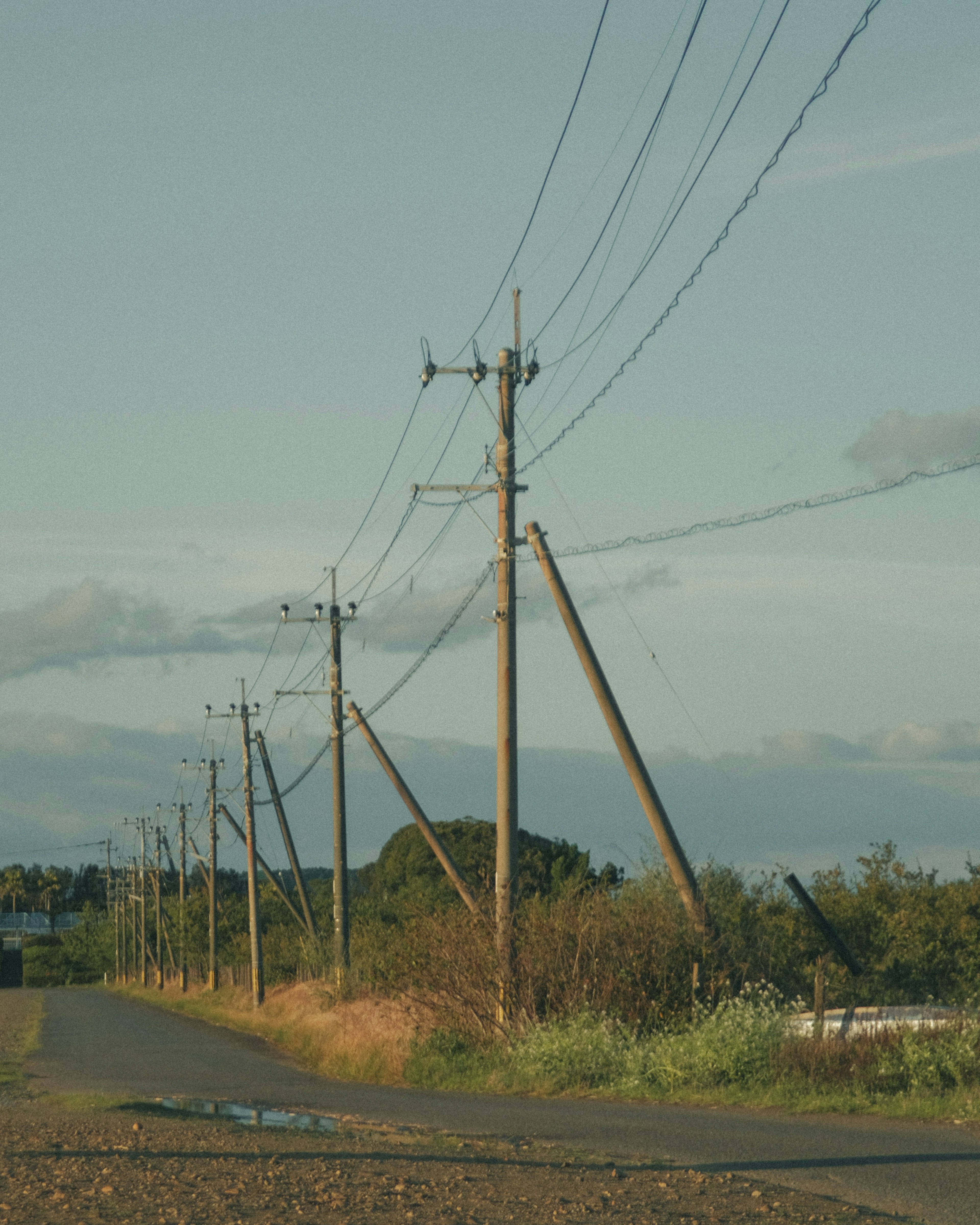 田舎の道路沿いに立つ電柱と電線の風景