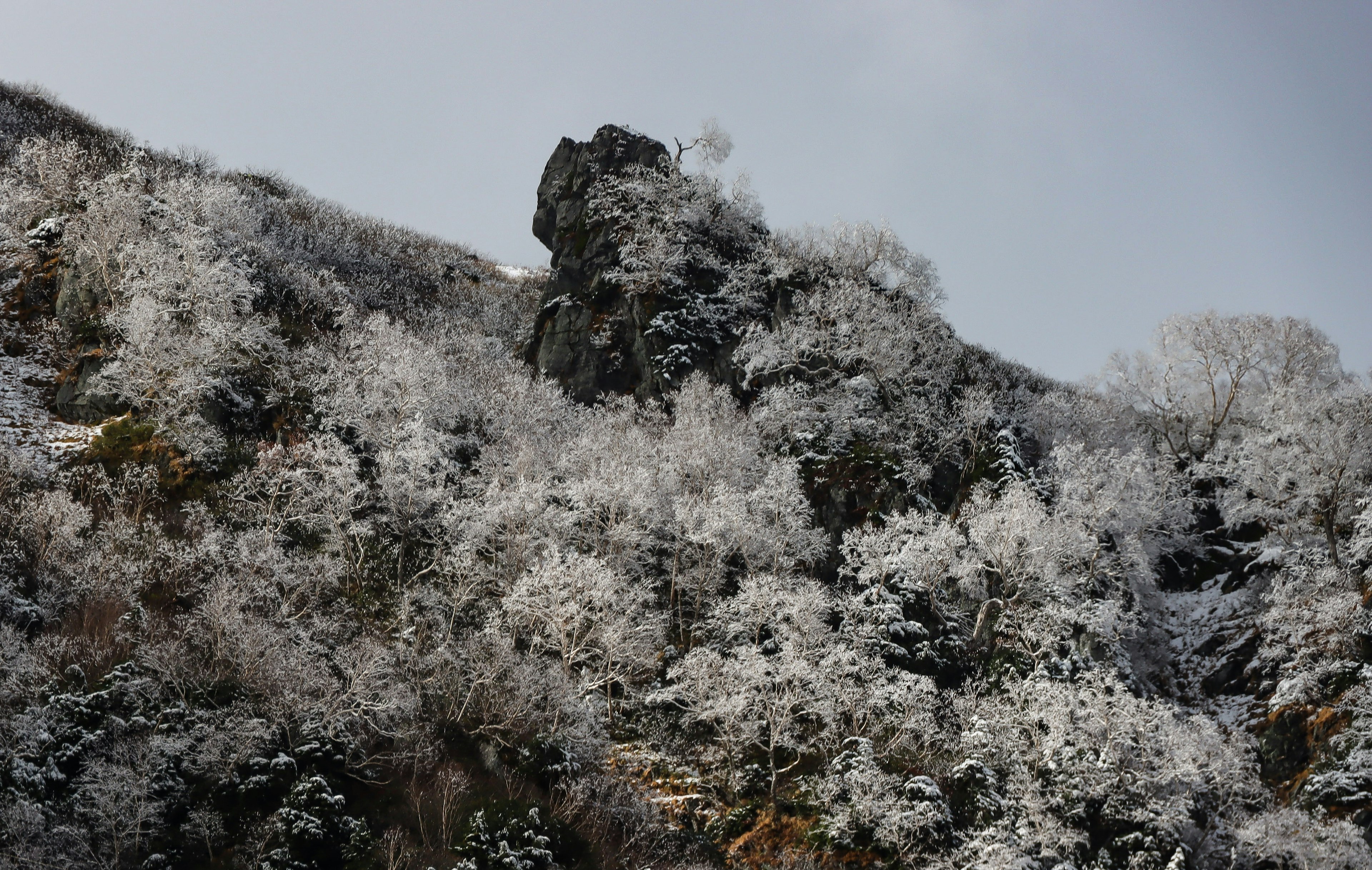 Landscape of snow-covered rocks and trees