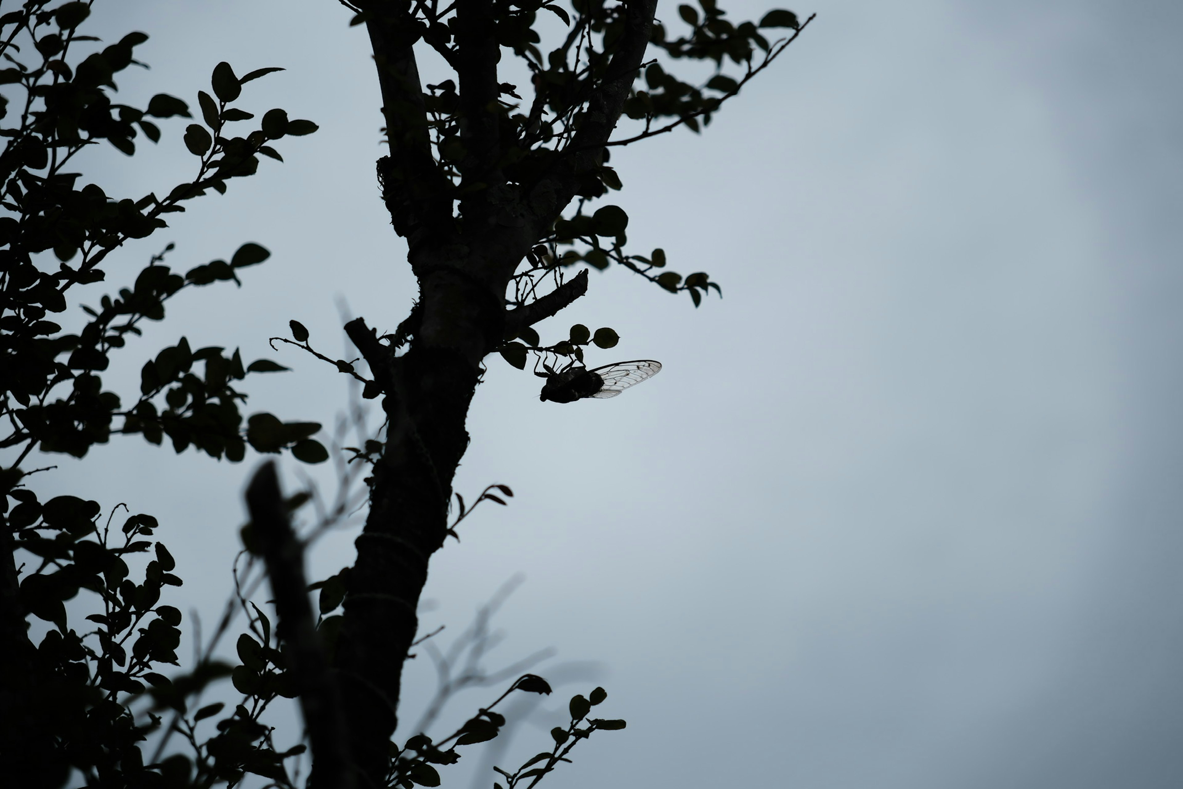 photo-SUM1thAgLGlbMg0GEuxD-image