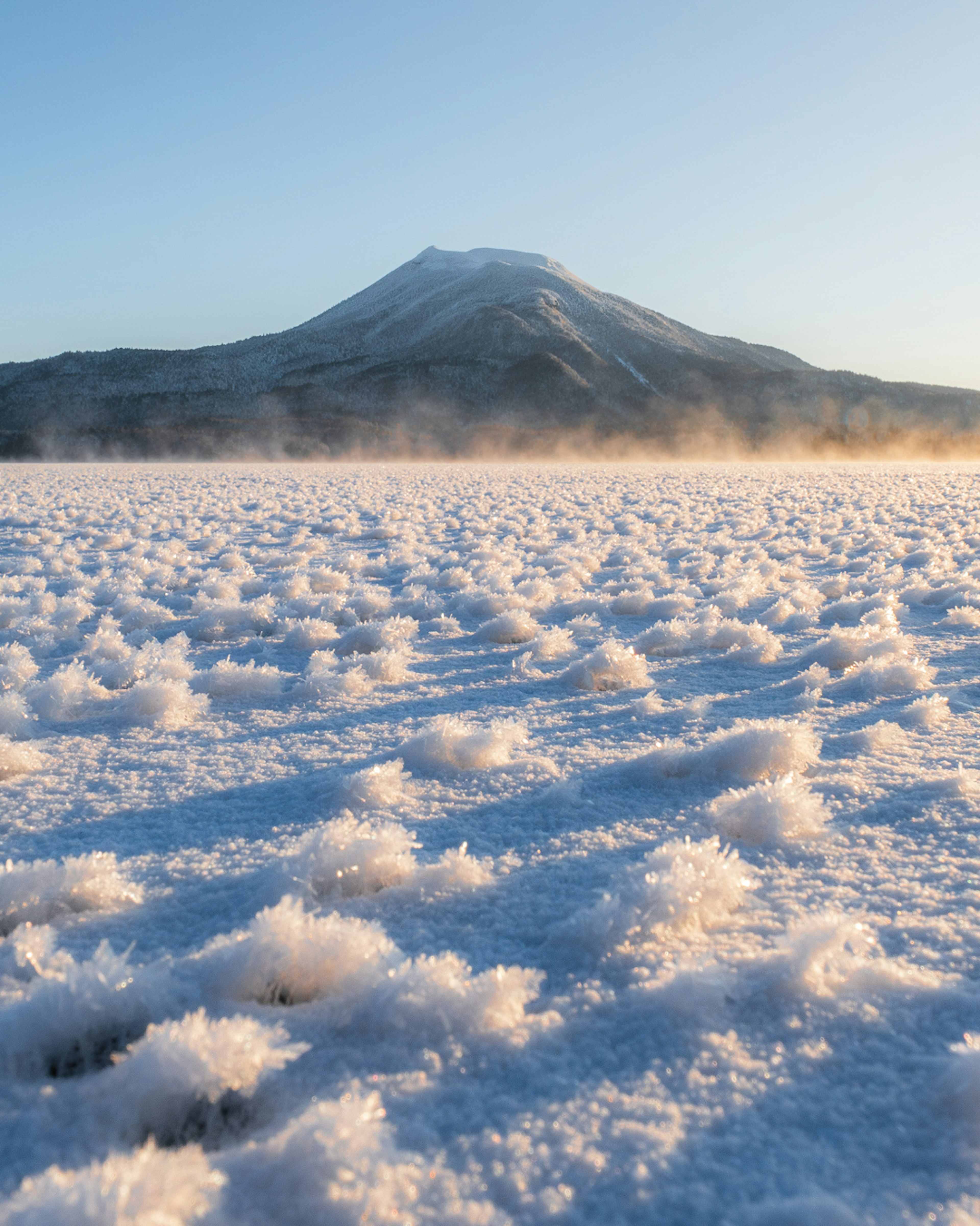 Paysage d'hiver avec une montagne enneigée