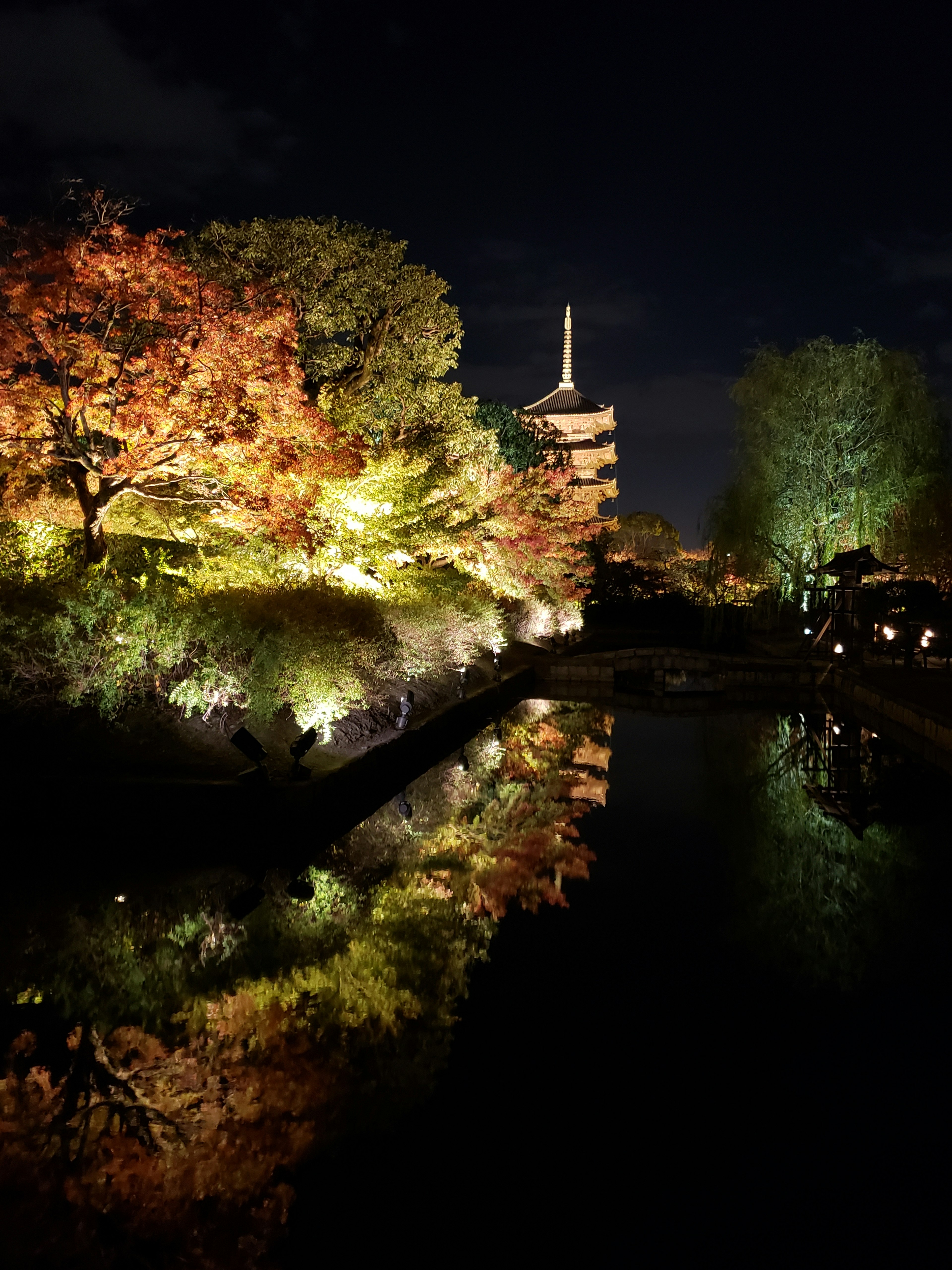 夜晚公園的秋葉與池塘的美麗倒影