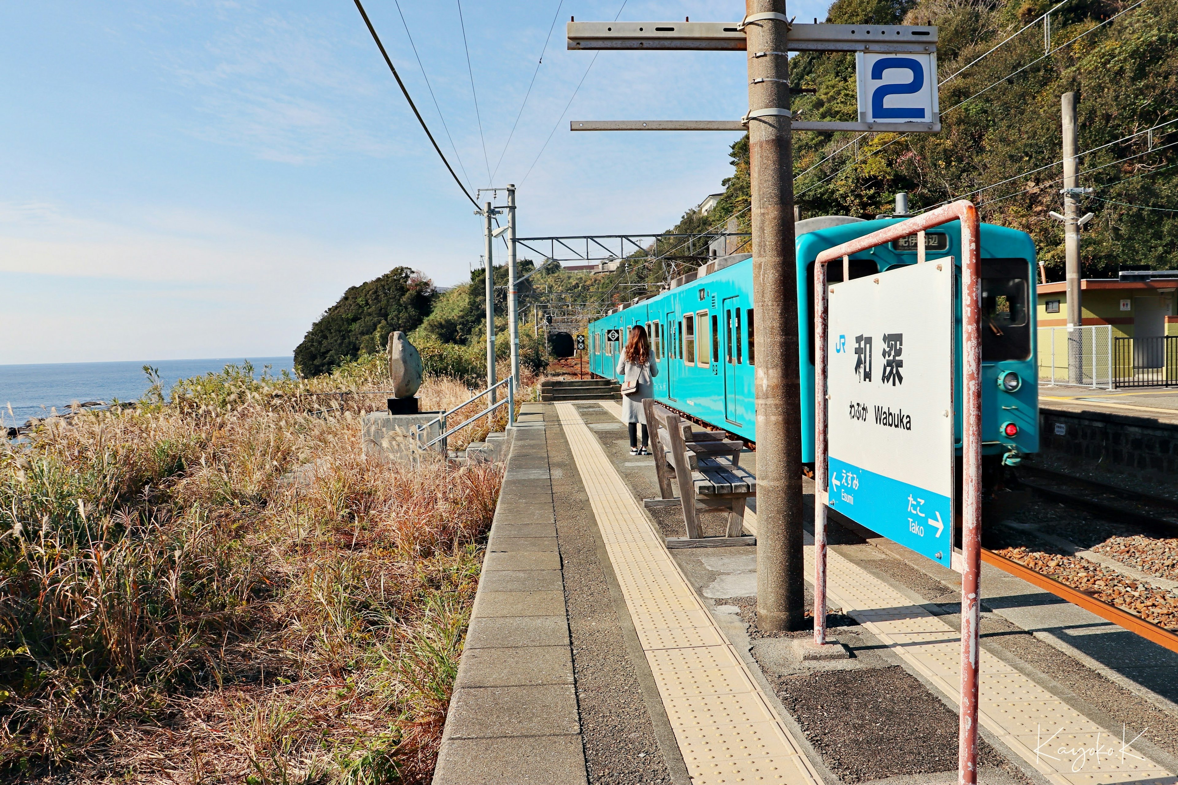 สถานีรถไฟใกล้ทะเลพร้อมรถไฟสีน้ำเงินที่ชานชาลาที่สอง