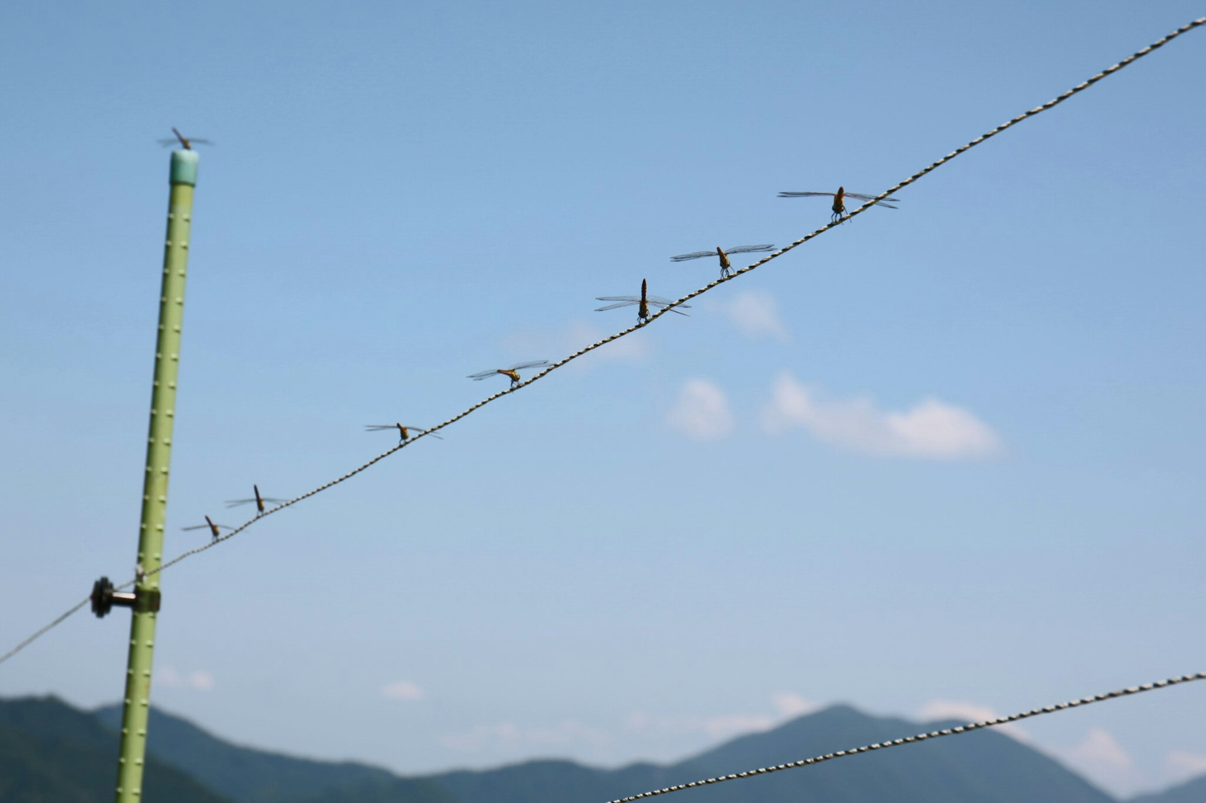 Paesaggio con linee elettriche contro un cielo blu e montagne