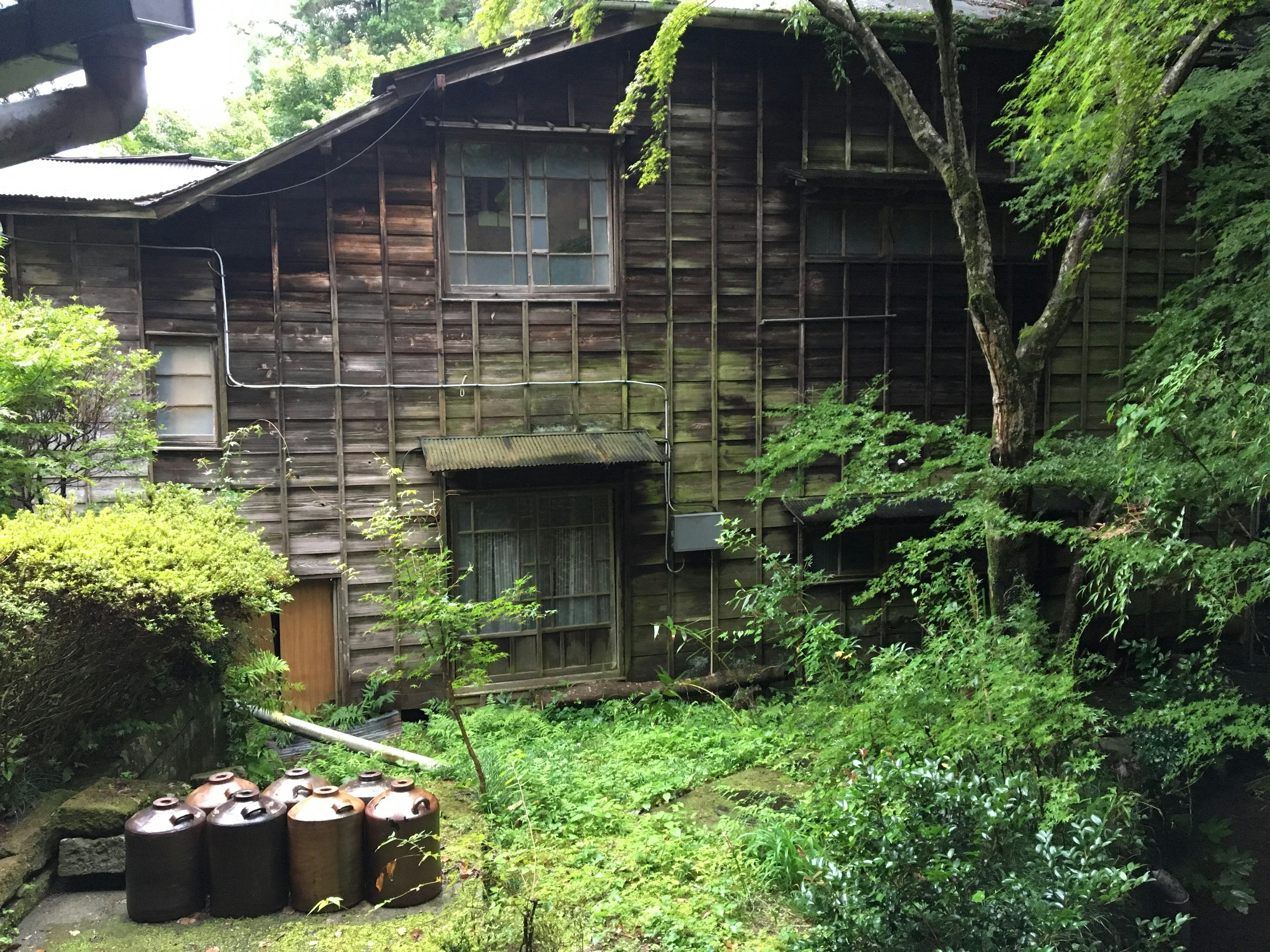 古い木造の家と緑の植物が生い茂る庭の風景