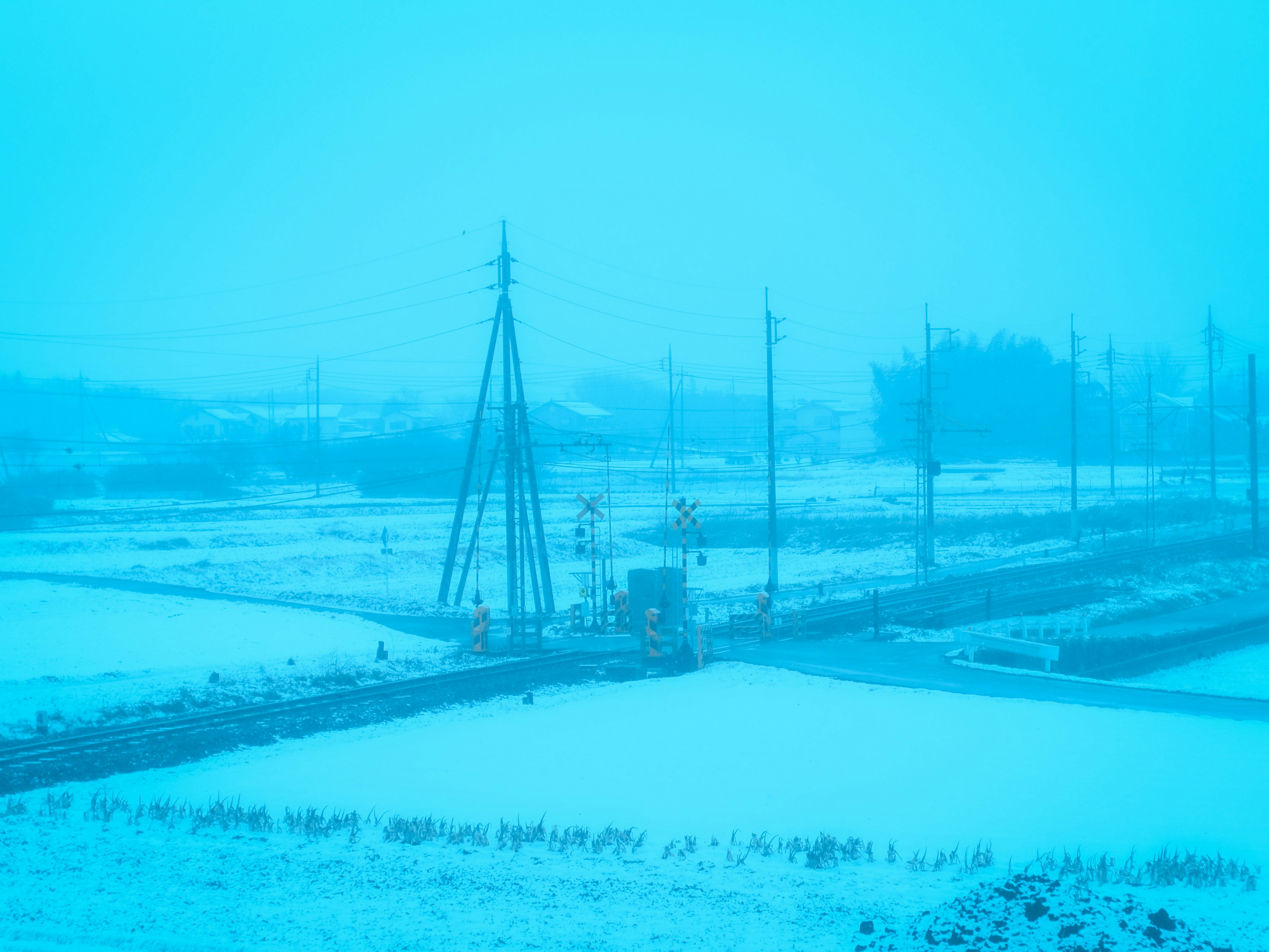 Snow-covered rural landscape with power poles in a blue-toned atmosphere