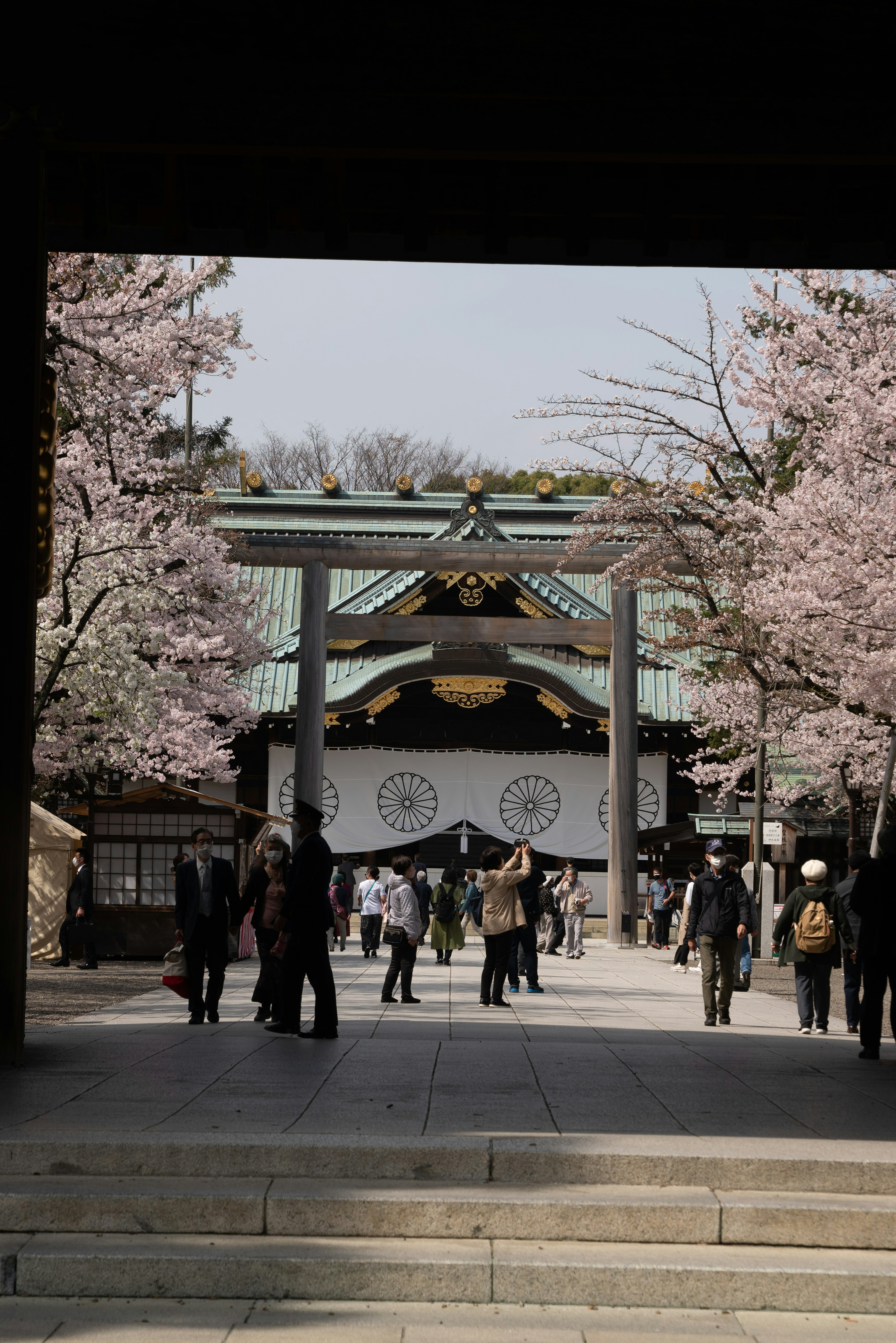 People walking through the main gate of a shrine surrounded by cherry blossom trees