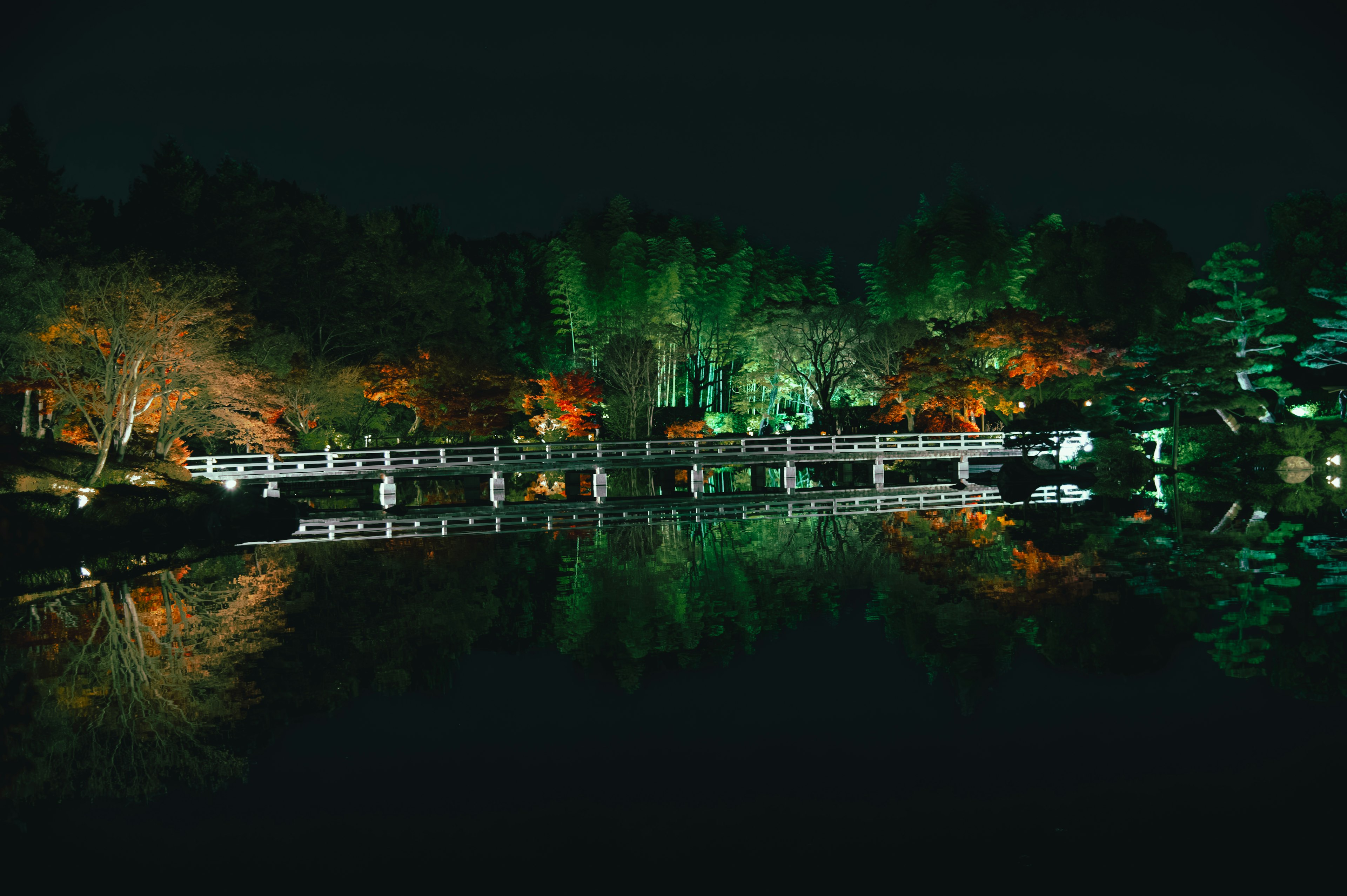 Nighttime garden scene with a bridge illuminated by green lights reflecting in the pond