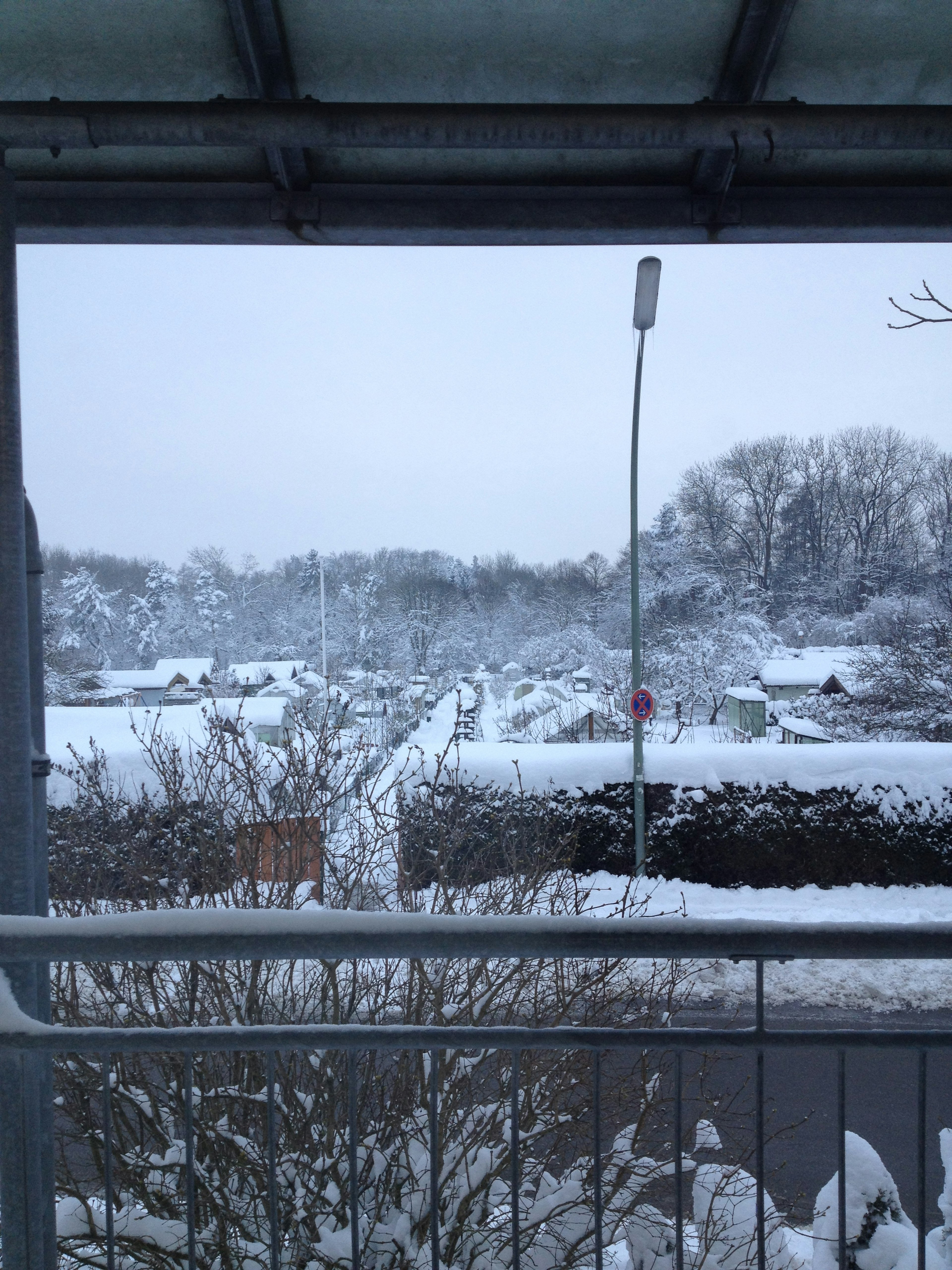 雪に覆われた風景と冬の雰囲気