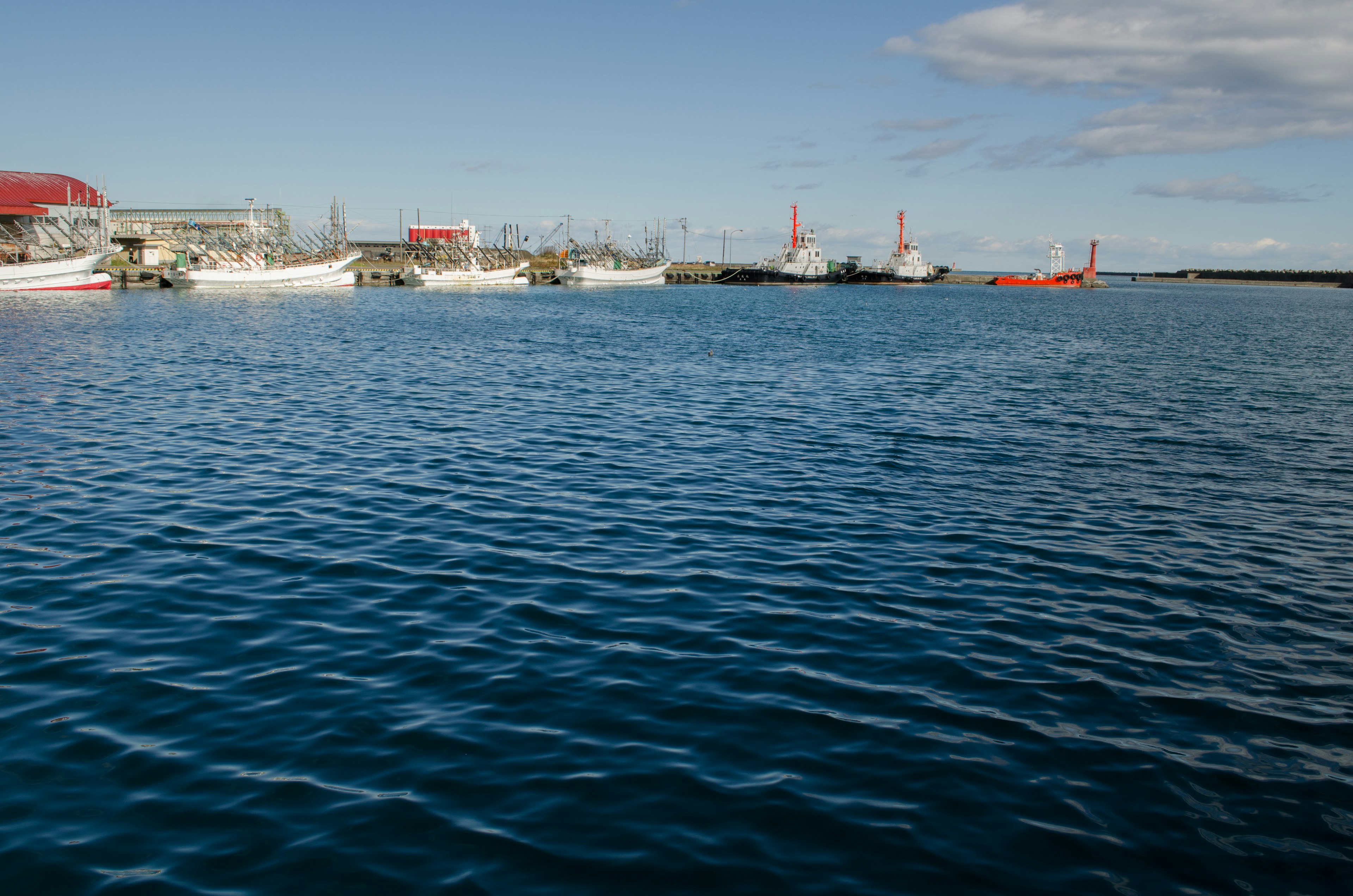 Harbor scene with blue water and fishing boats