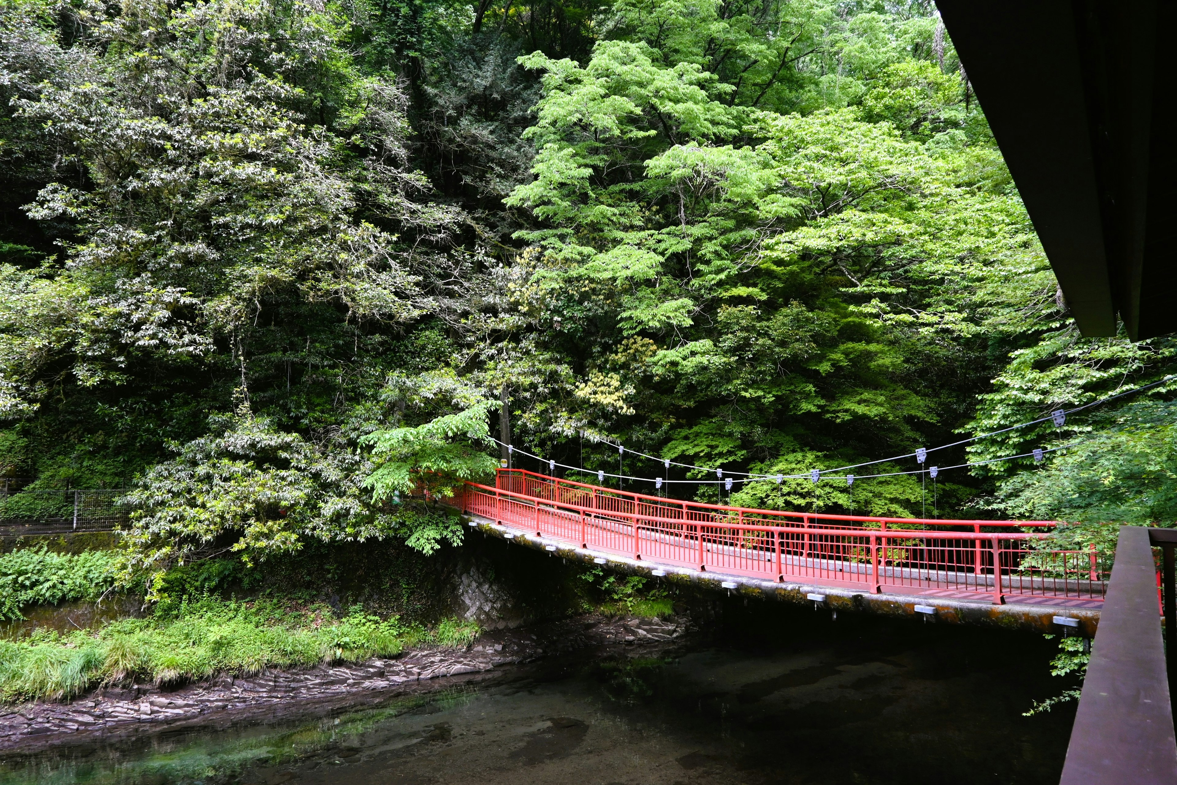 赤い橋と緑の木々がある静かな川の風景