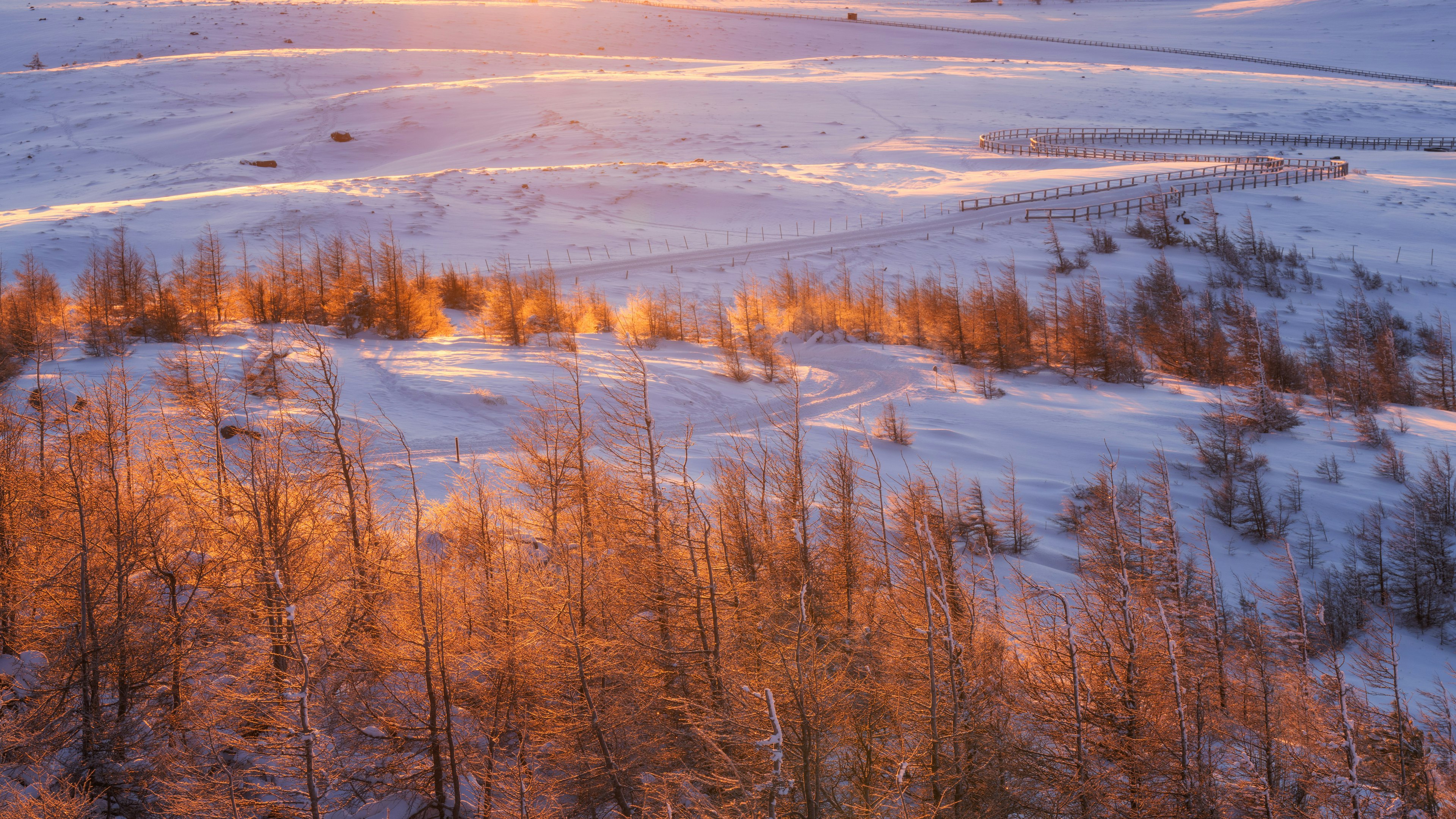 雪に覆われた風景とオレンジ色の夕日が照らす木々