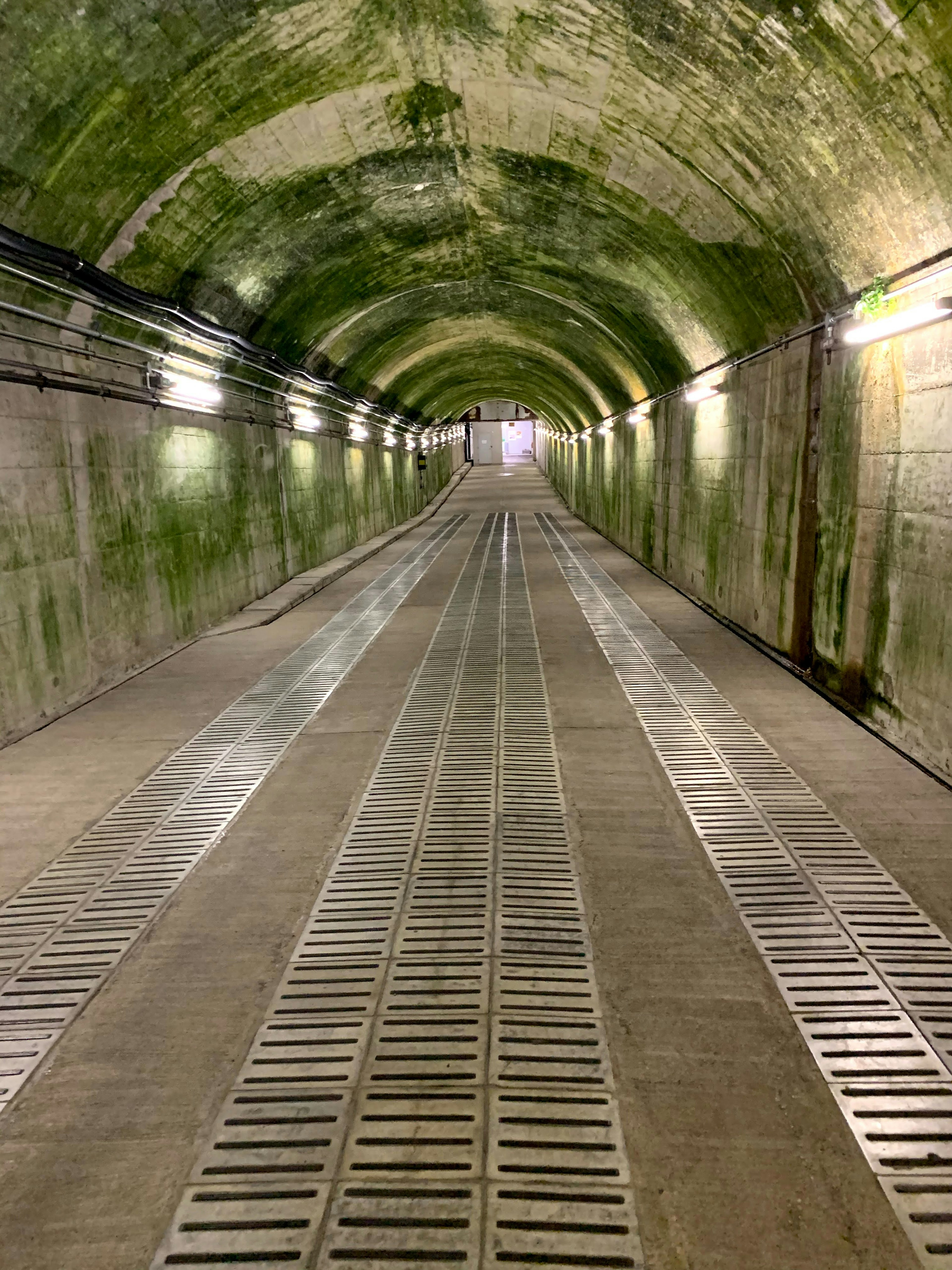 Langer Flur in einem grünlichen Tunnel mit Beleuchtung und Gitterboden