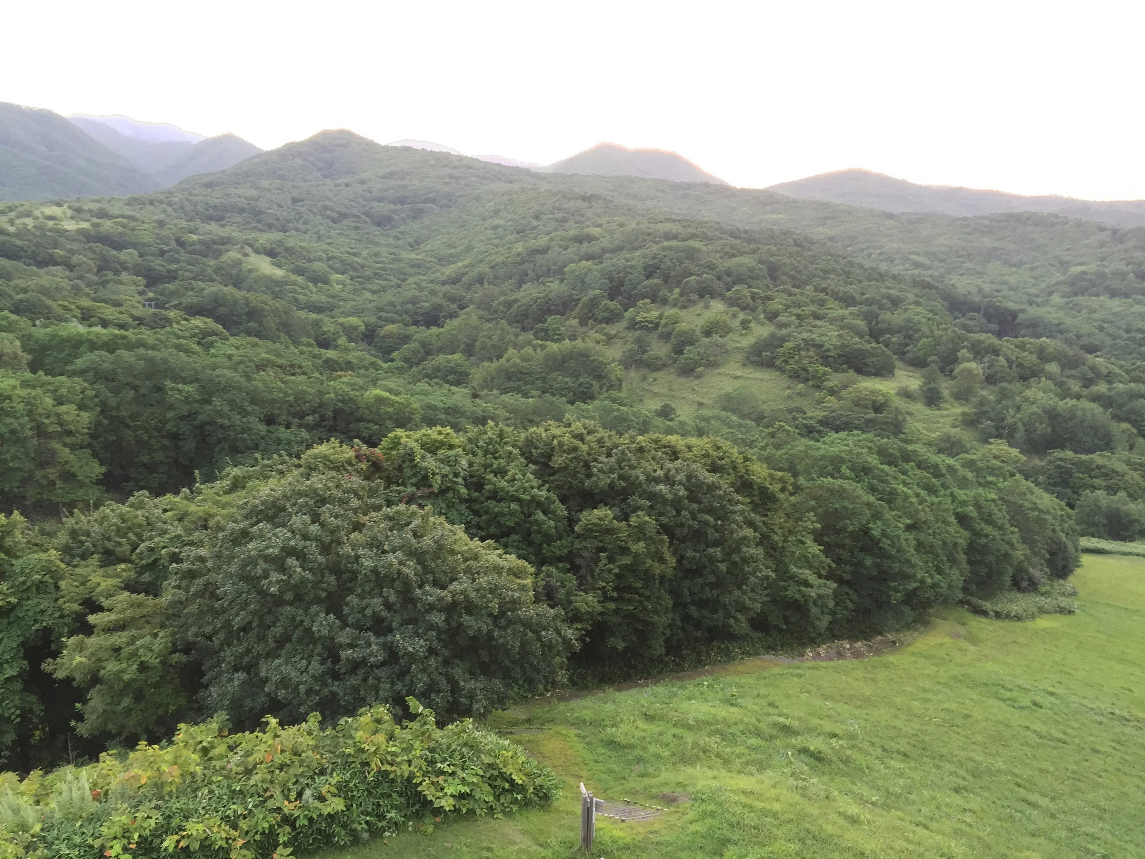 緑豊かな山々と森林の景色広がる風景